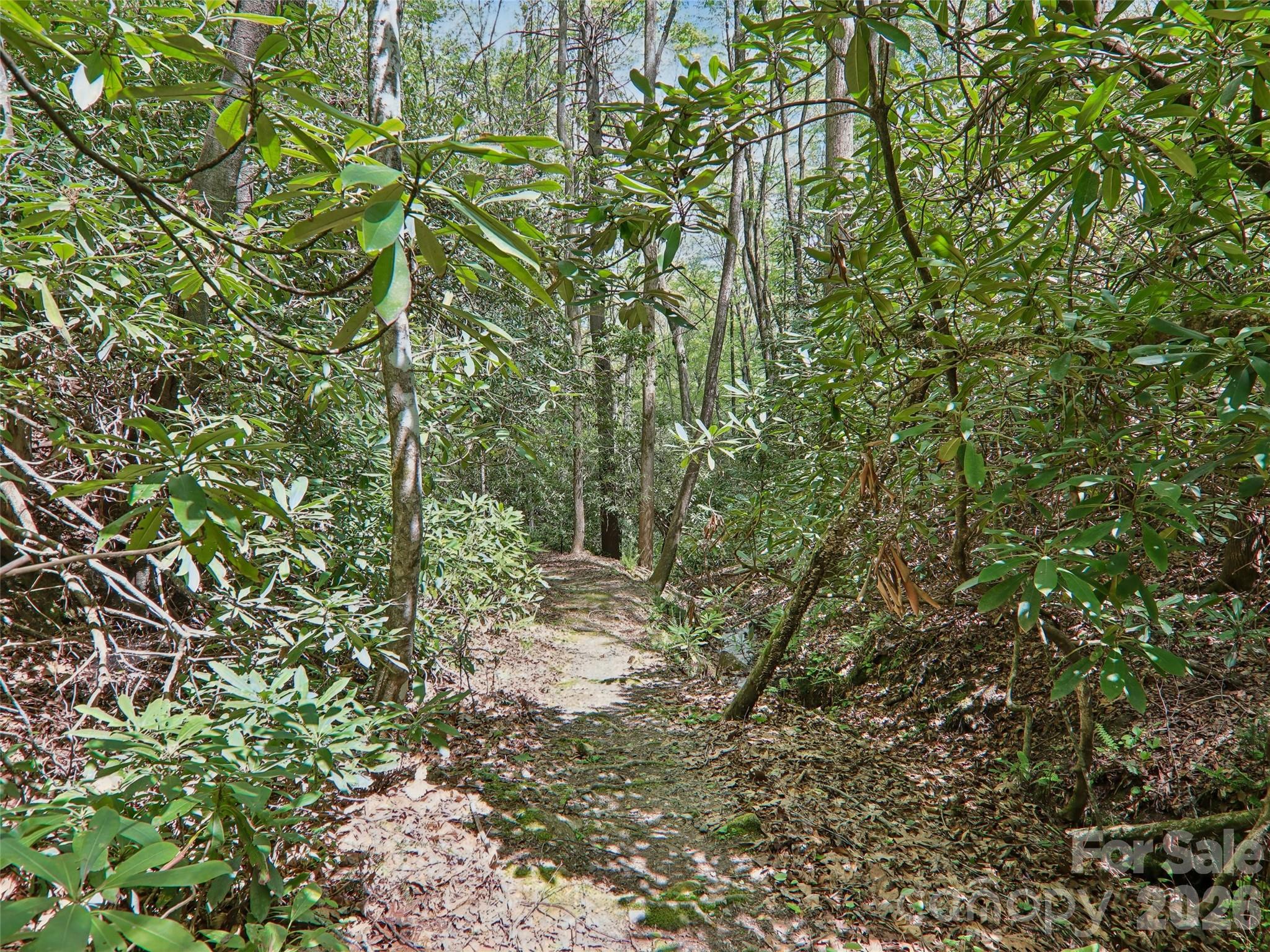 554 Pisgah Forest Drive Property Photo 44