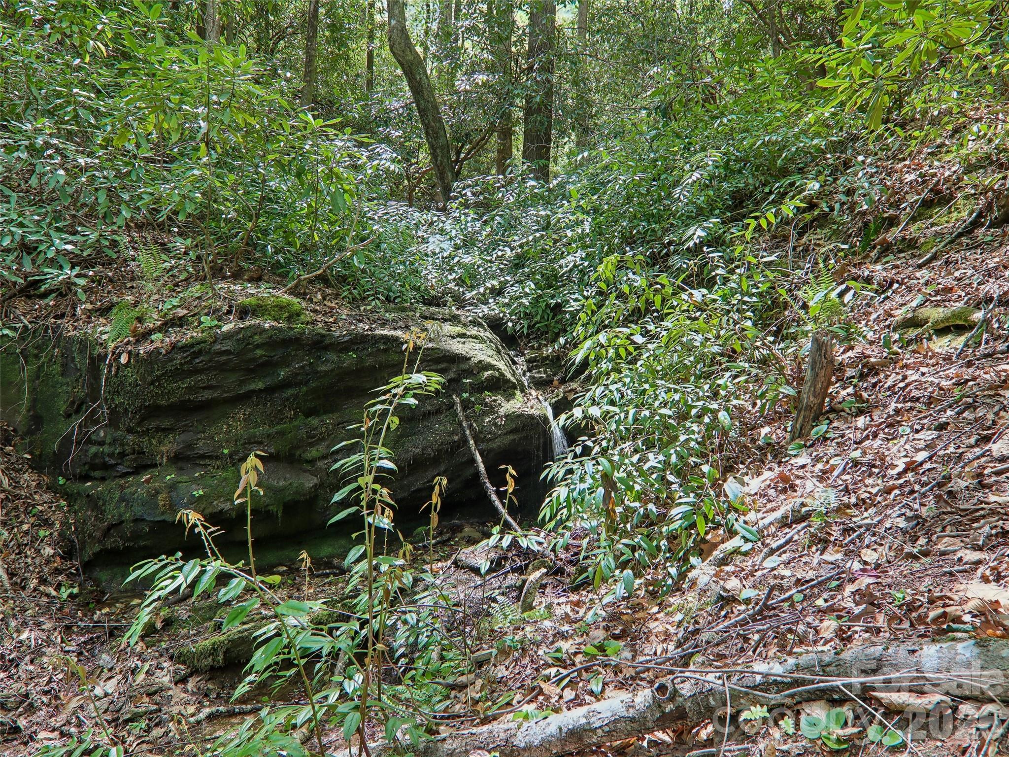 554 Pisgah Forest Drive Property Photo 45
