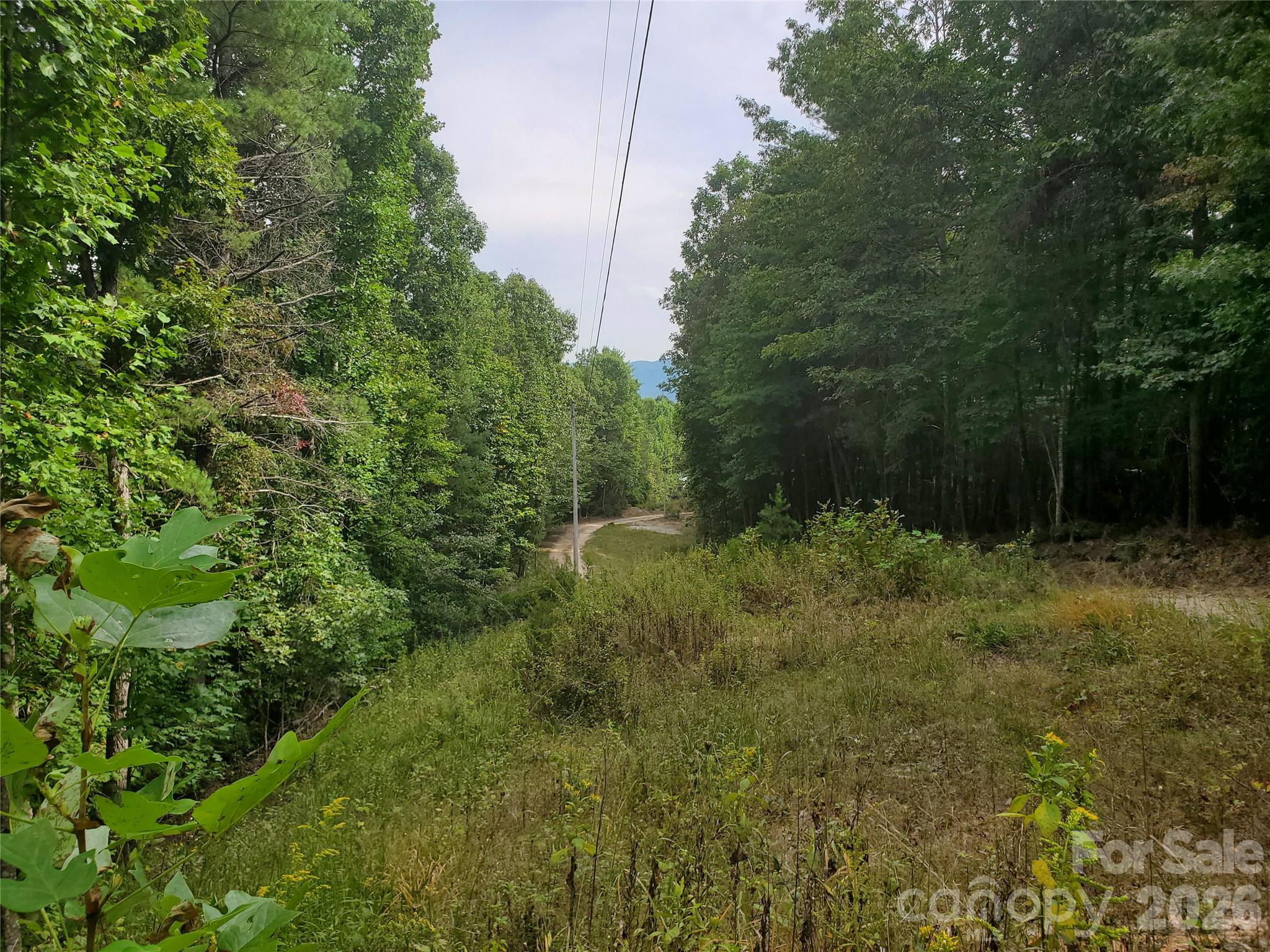 3024 Pearson Mountain Road