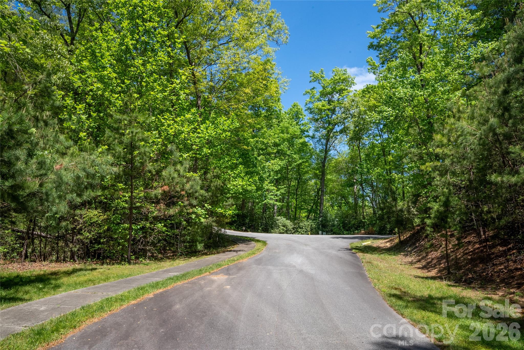 Tbd Springhouse Trail L15 Property Photo 7