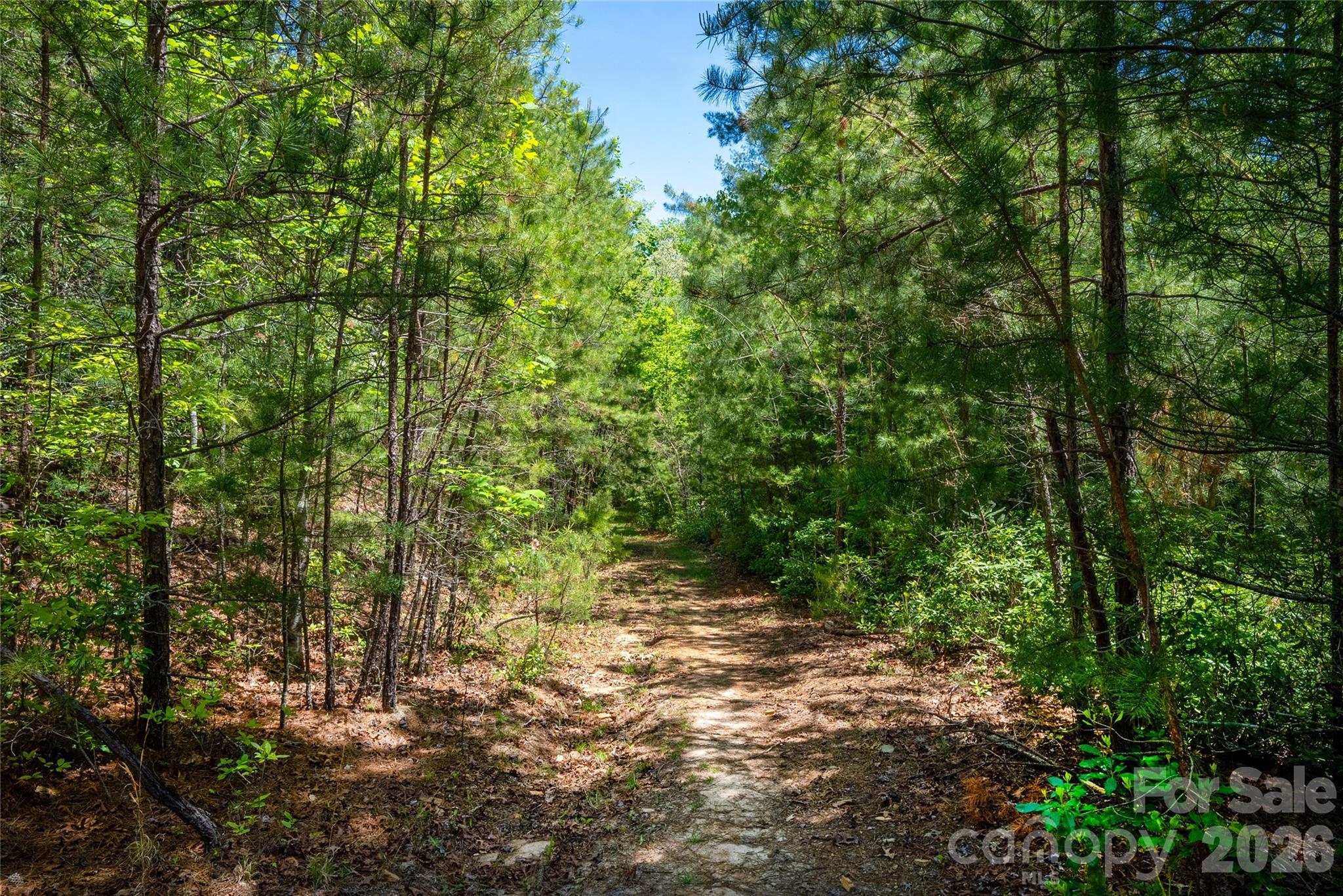 Tbd Springhouse Trail L15 Property Photo 8