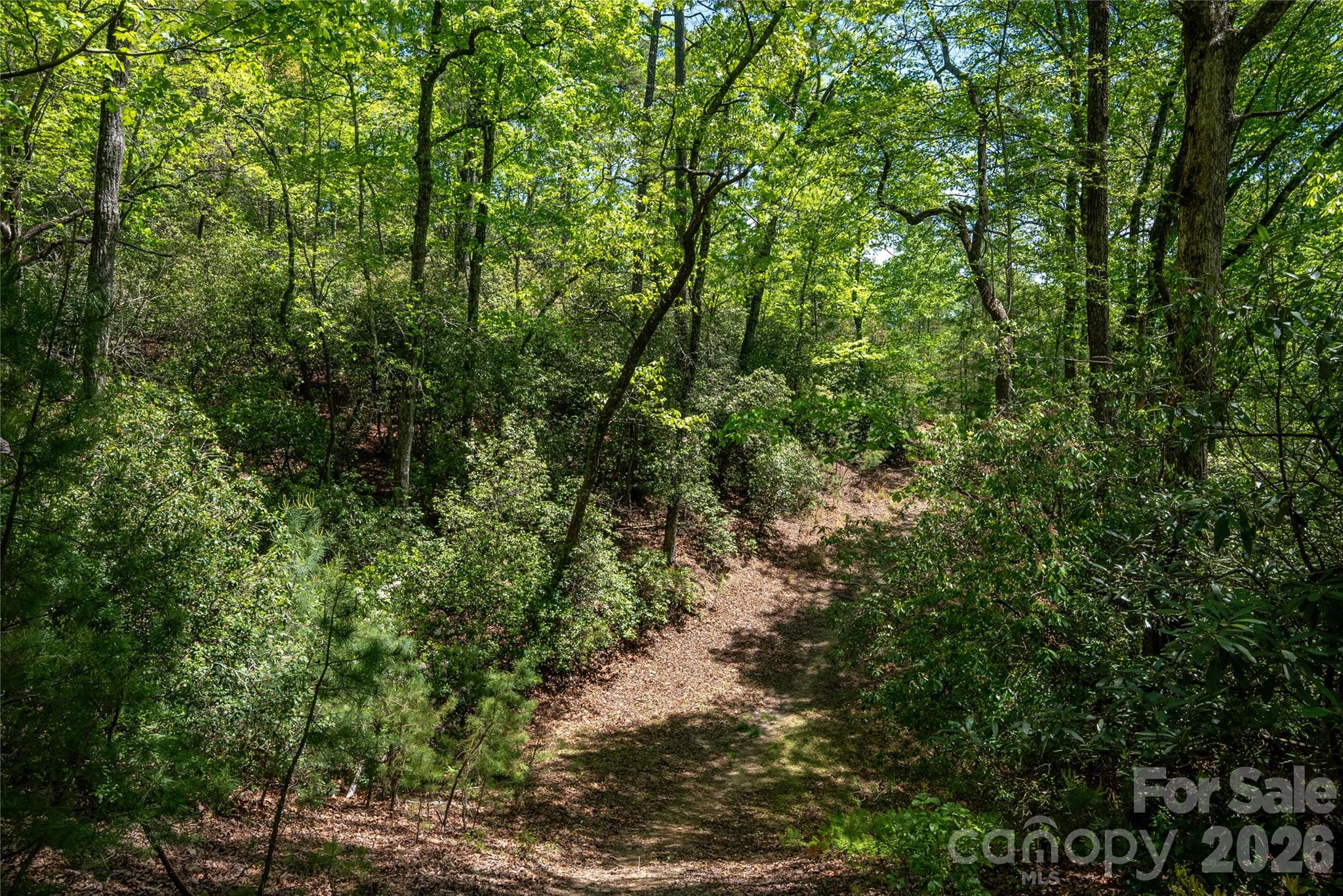 Tbd Springhouse Trail L15 Property Photo 9