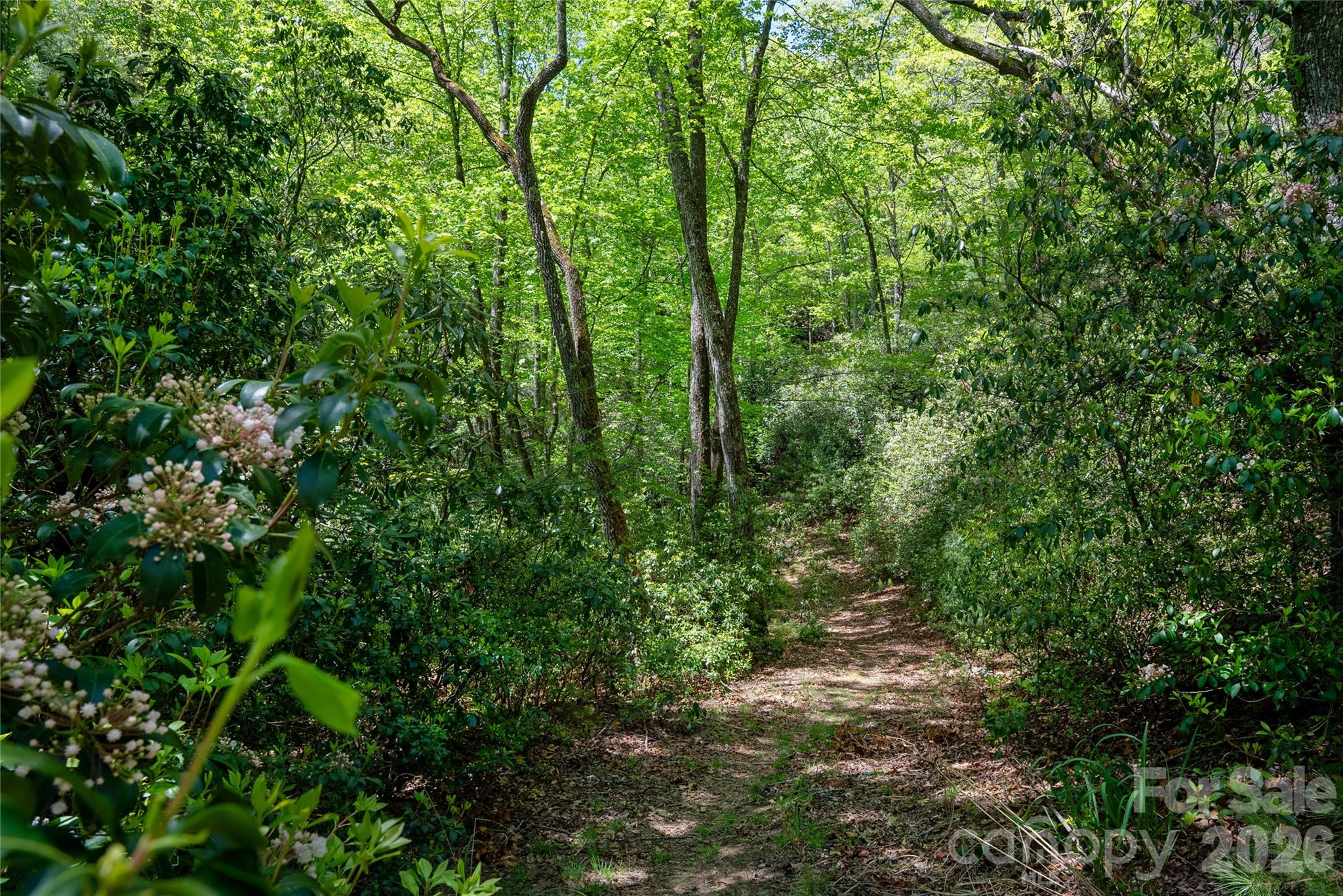 Tbd Springhouse Trail L15 Property Photo 10
