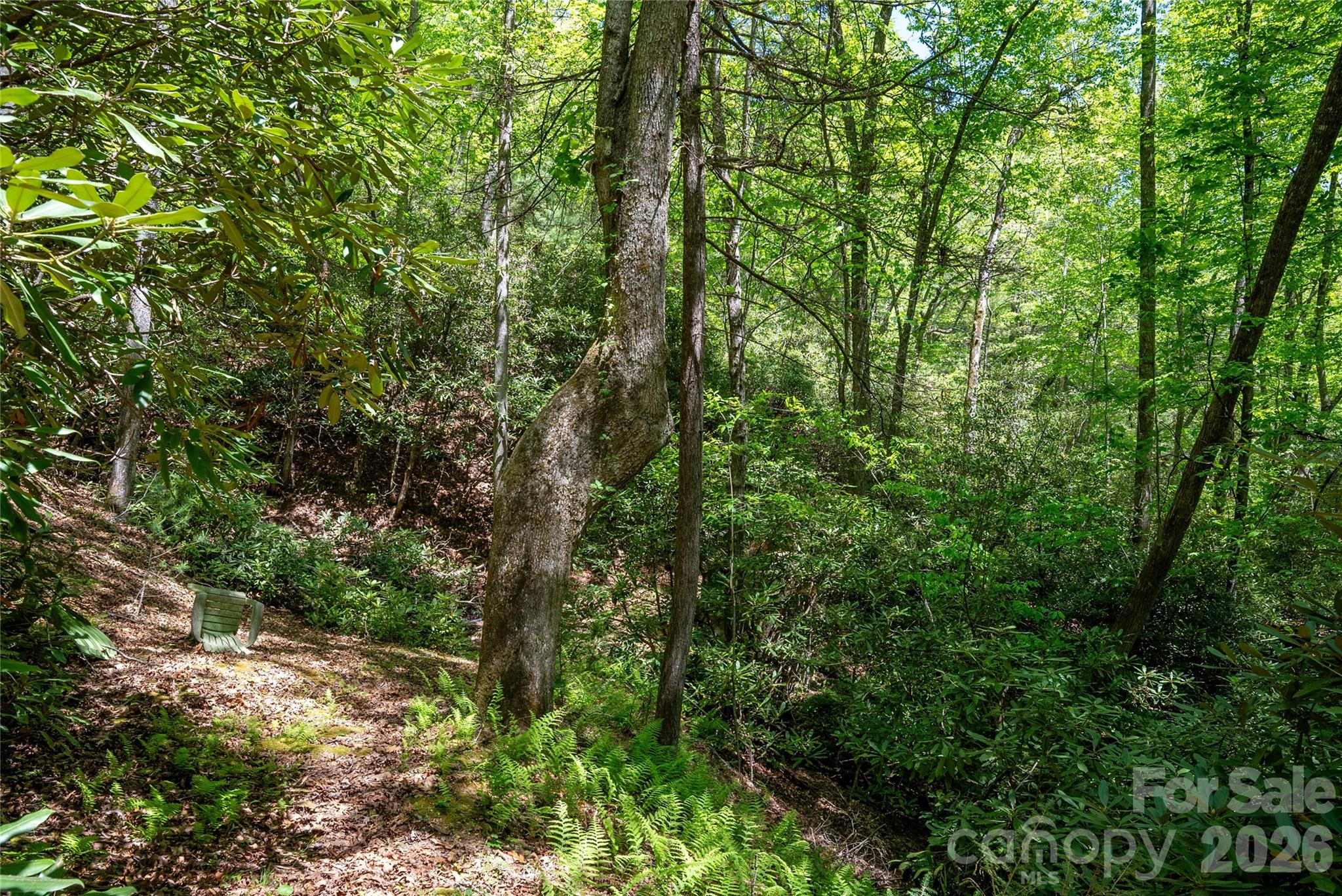 Tbd Springhouse Trail L15 Property Photo 14
