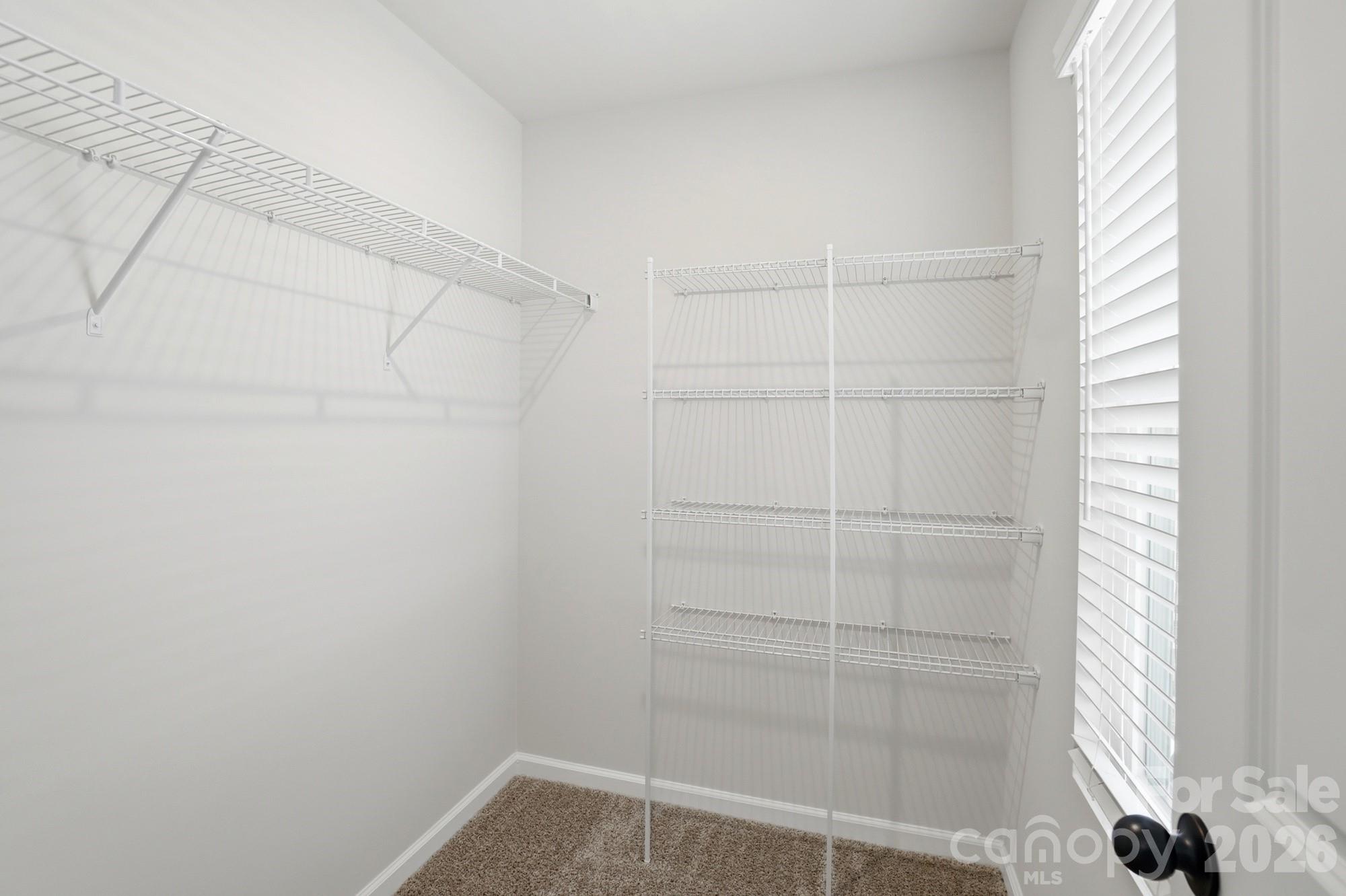 7025 Cerris Drive Property Photo 36