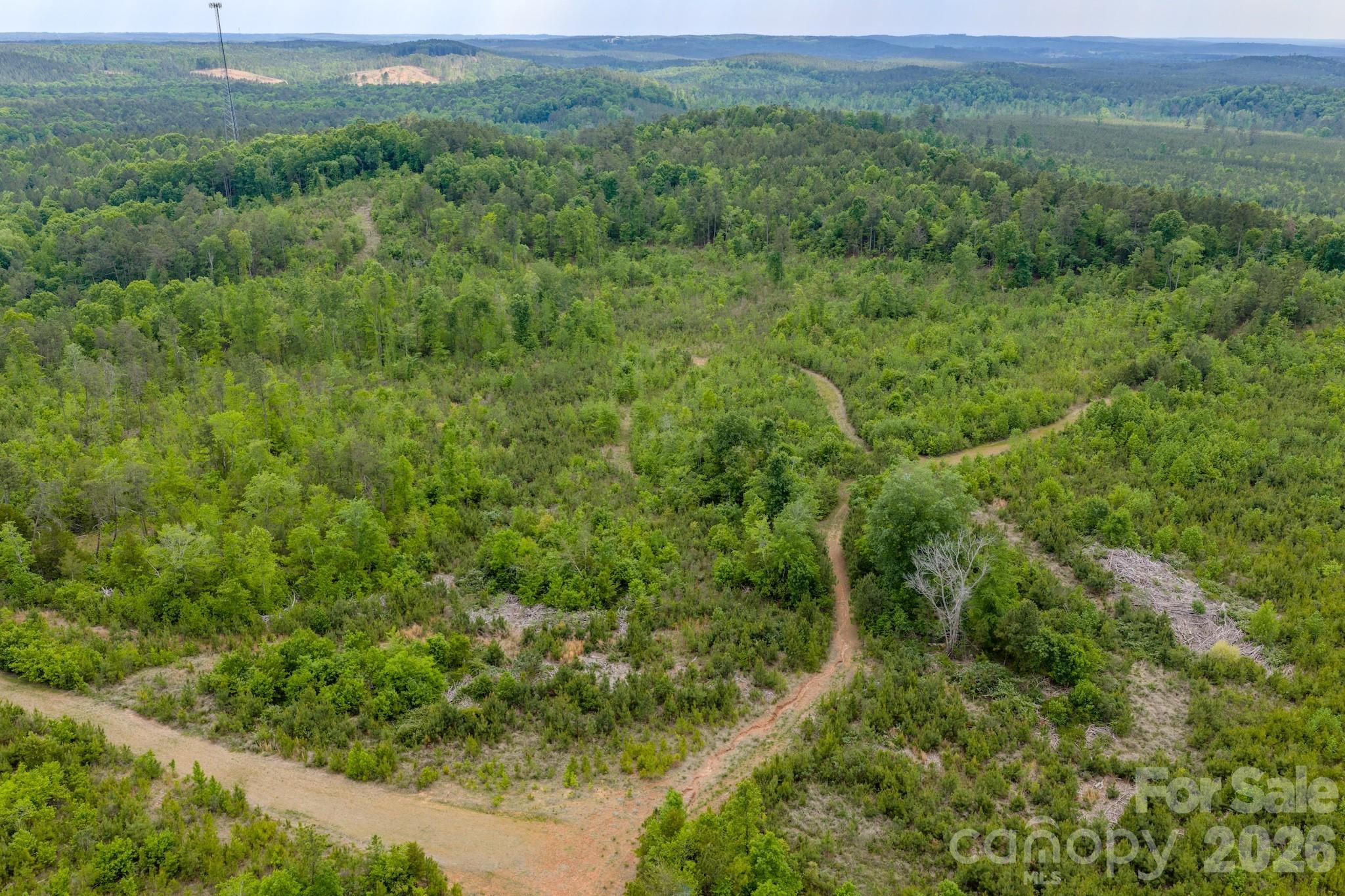 0 Hwy 731 Highway Property Photo 8