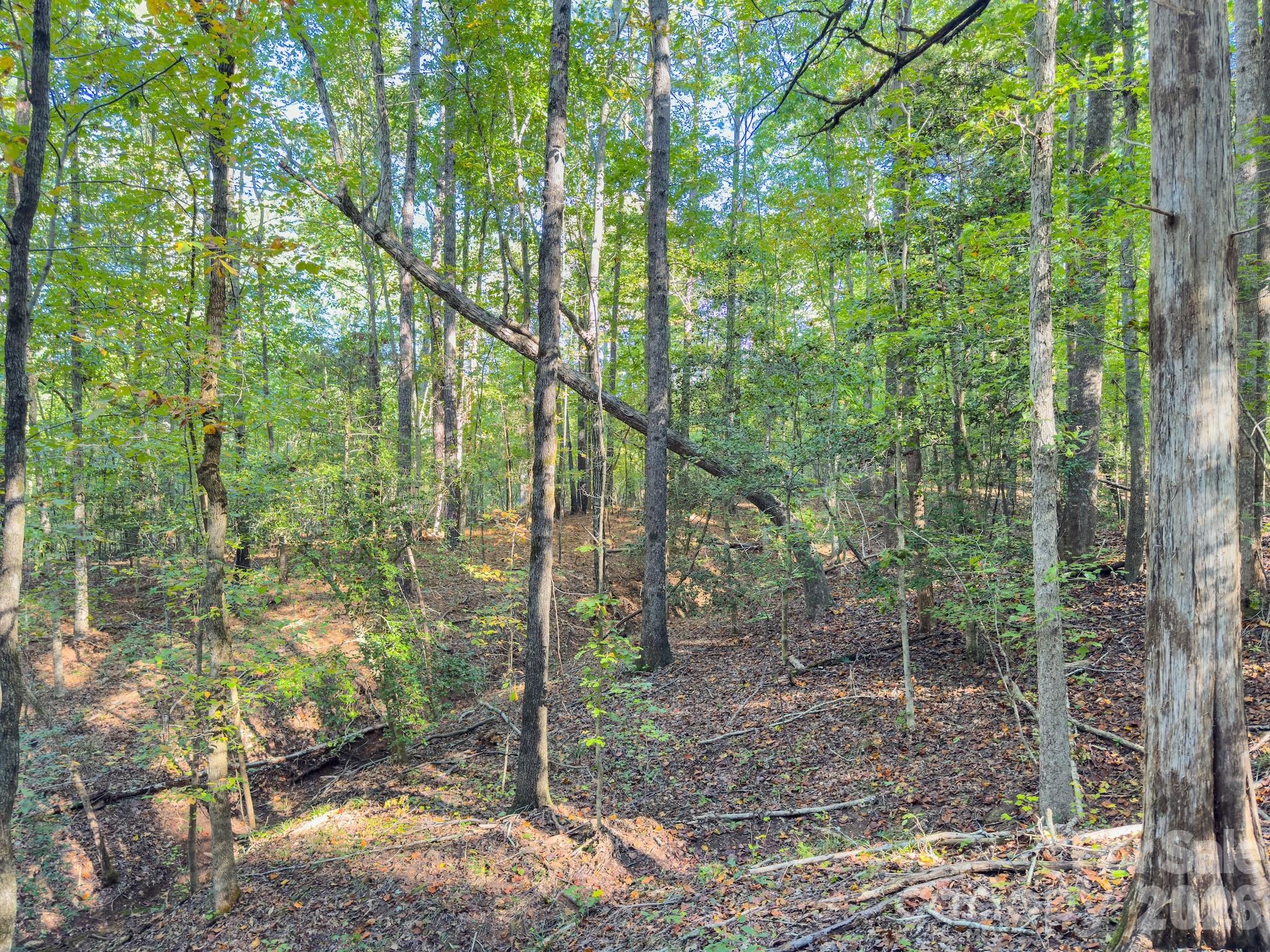 0 Hwy 731 Highway Property Photo 12