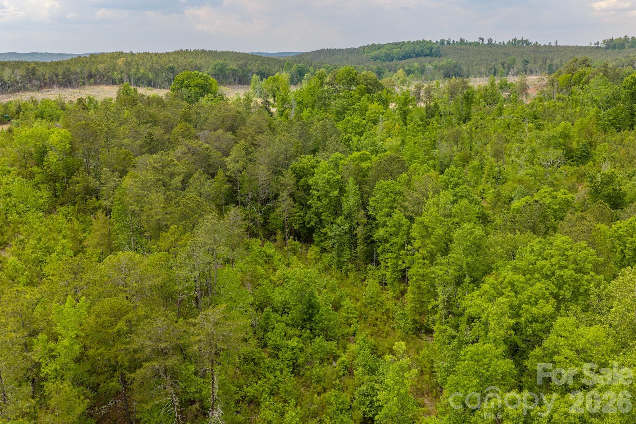0 Hwy 731 Highway Property Photo 14