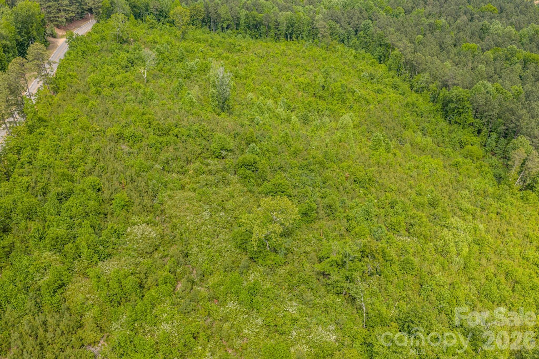 0 Hwy 731 Highway Property Photo 15