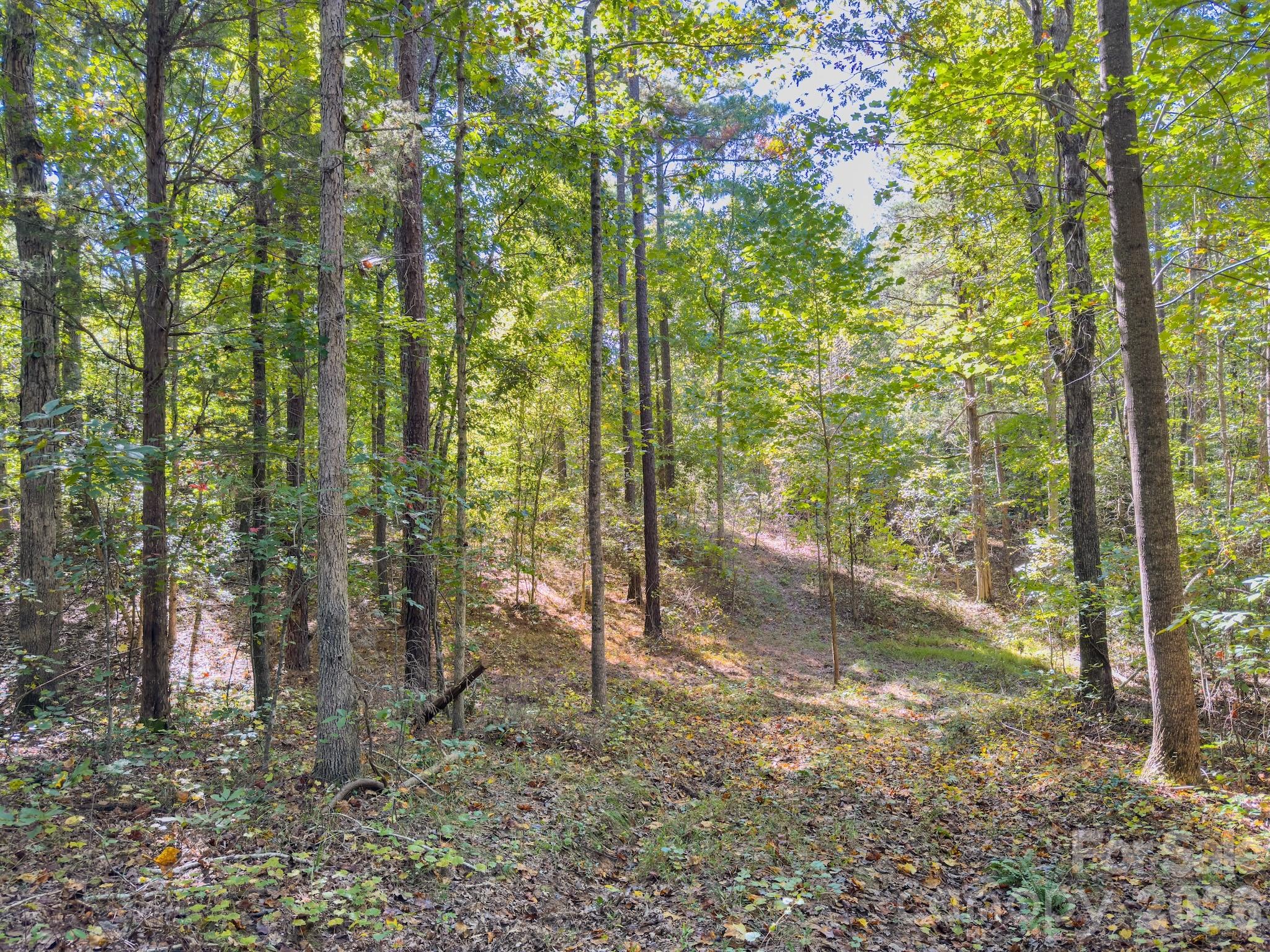 0 Hwy 731 Highway Property Photo 17