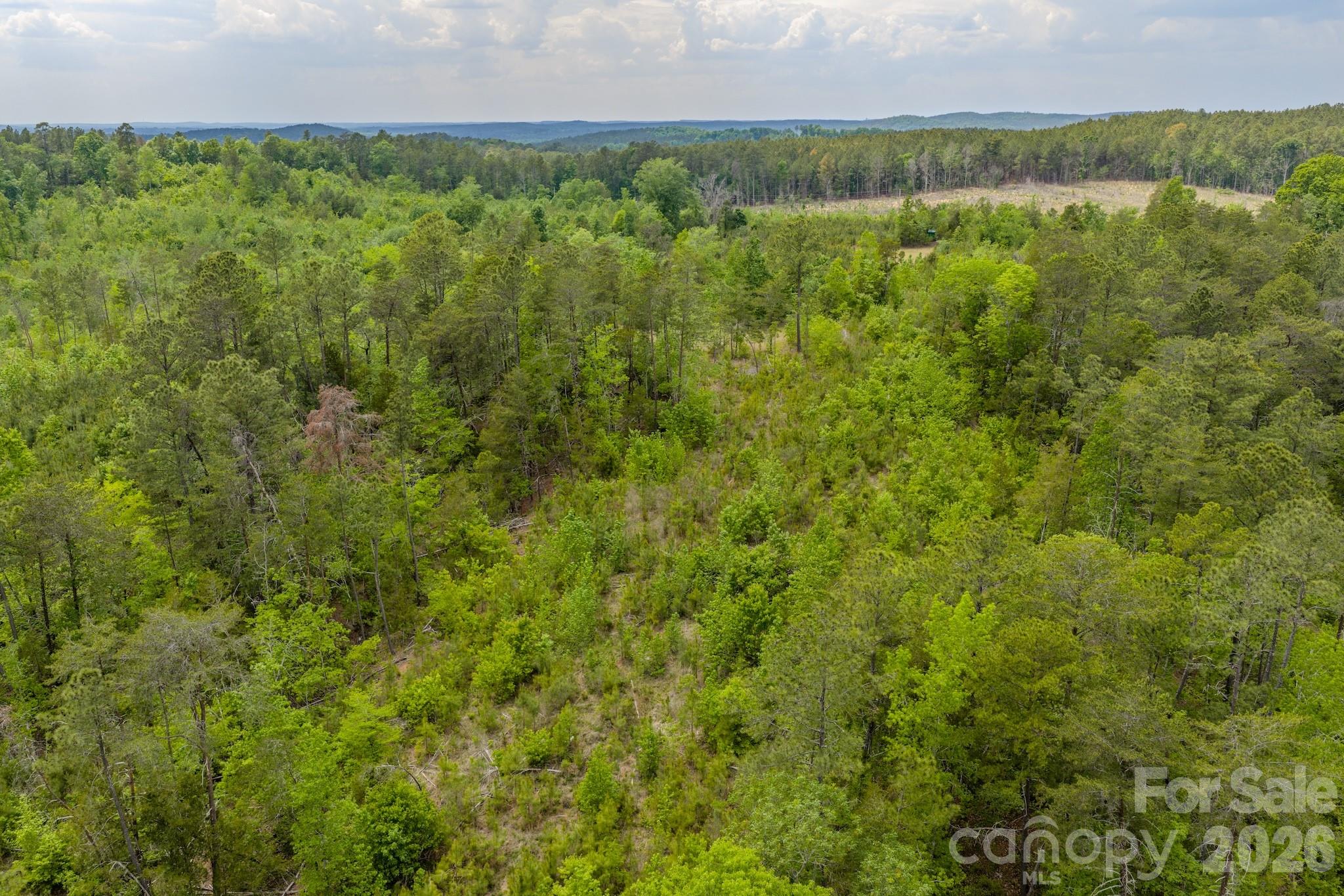 0 Hwy 731 Highway Property Photo 23