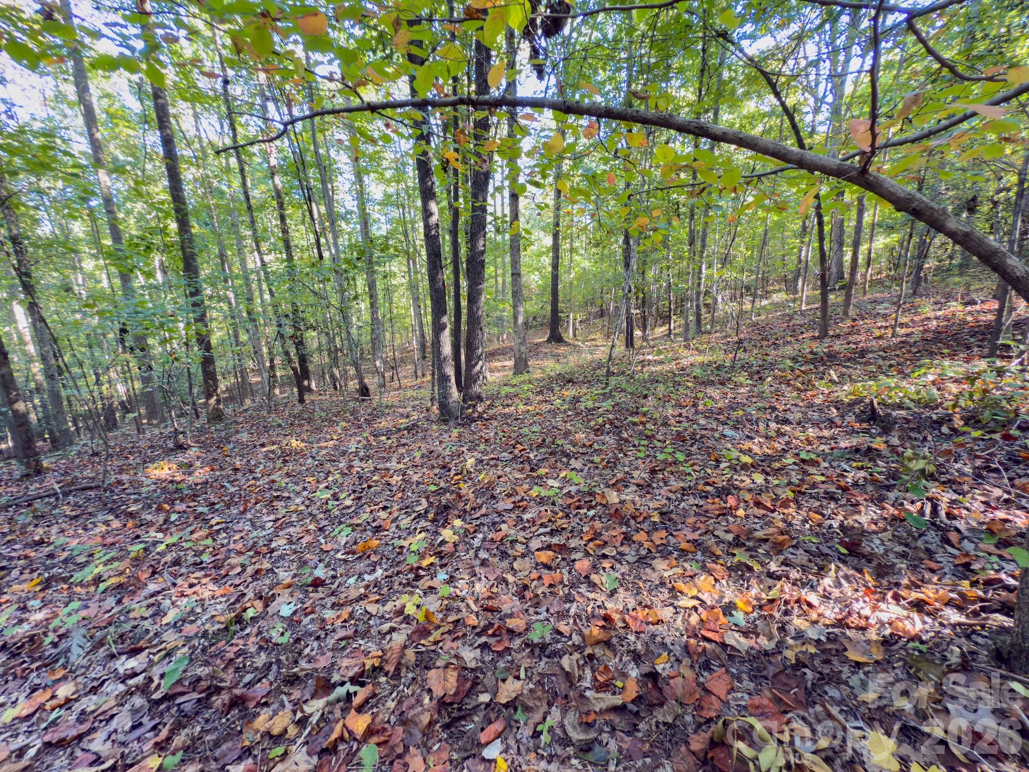 0 Hwy 731 Highway Property Photo 32