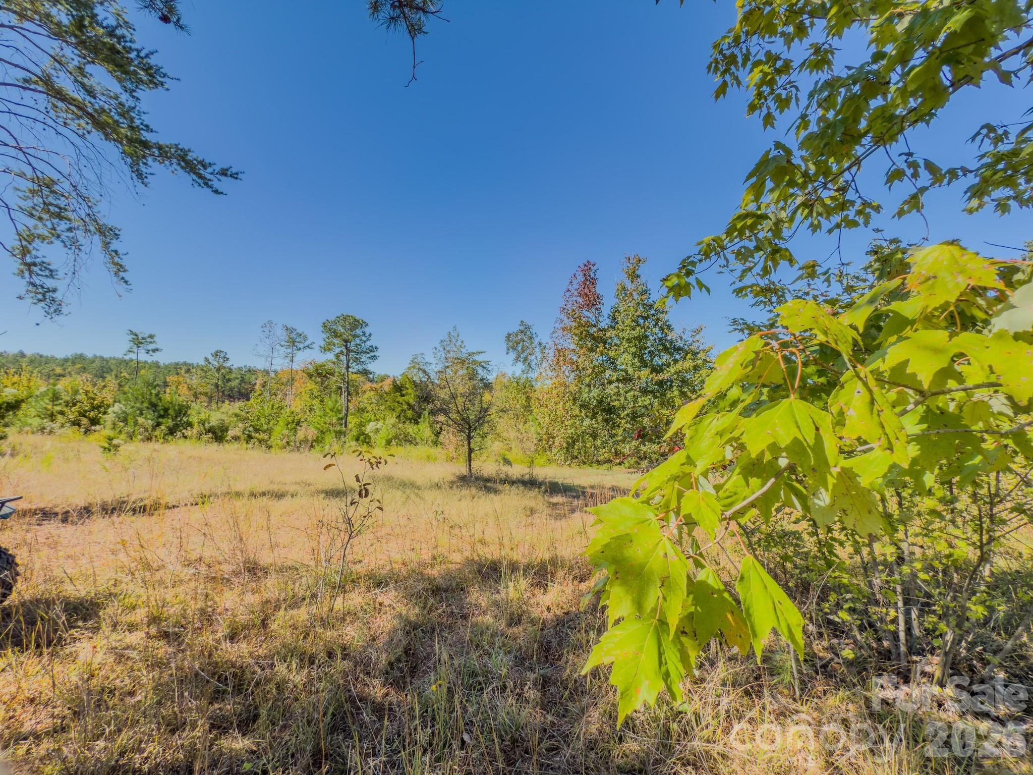 0 Hwy 731 Highway Property Photo 33