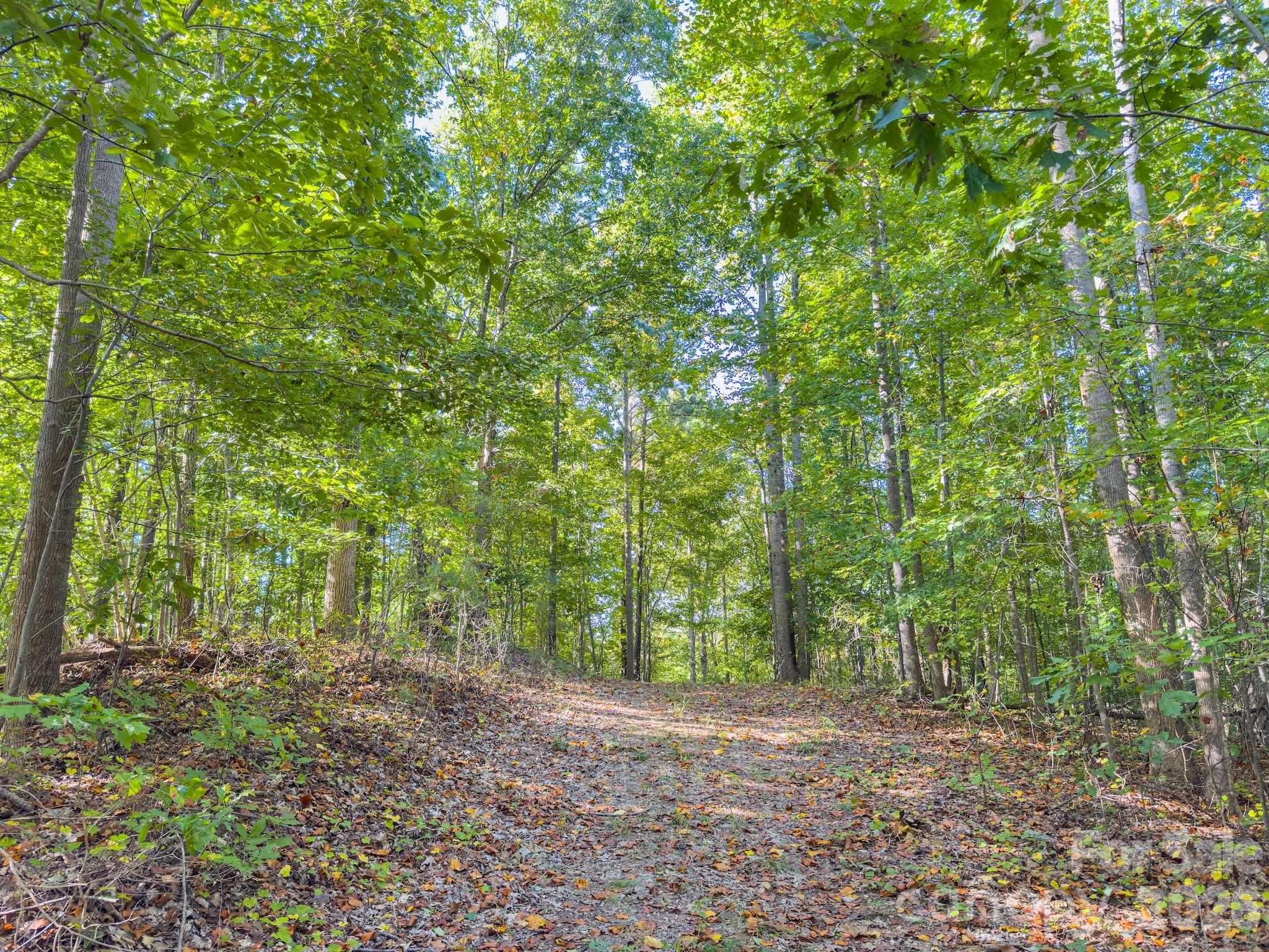 0 Hwy 731 Highway Property Photo 34