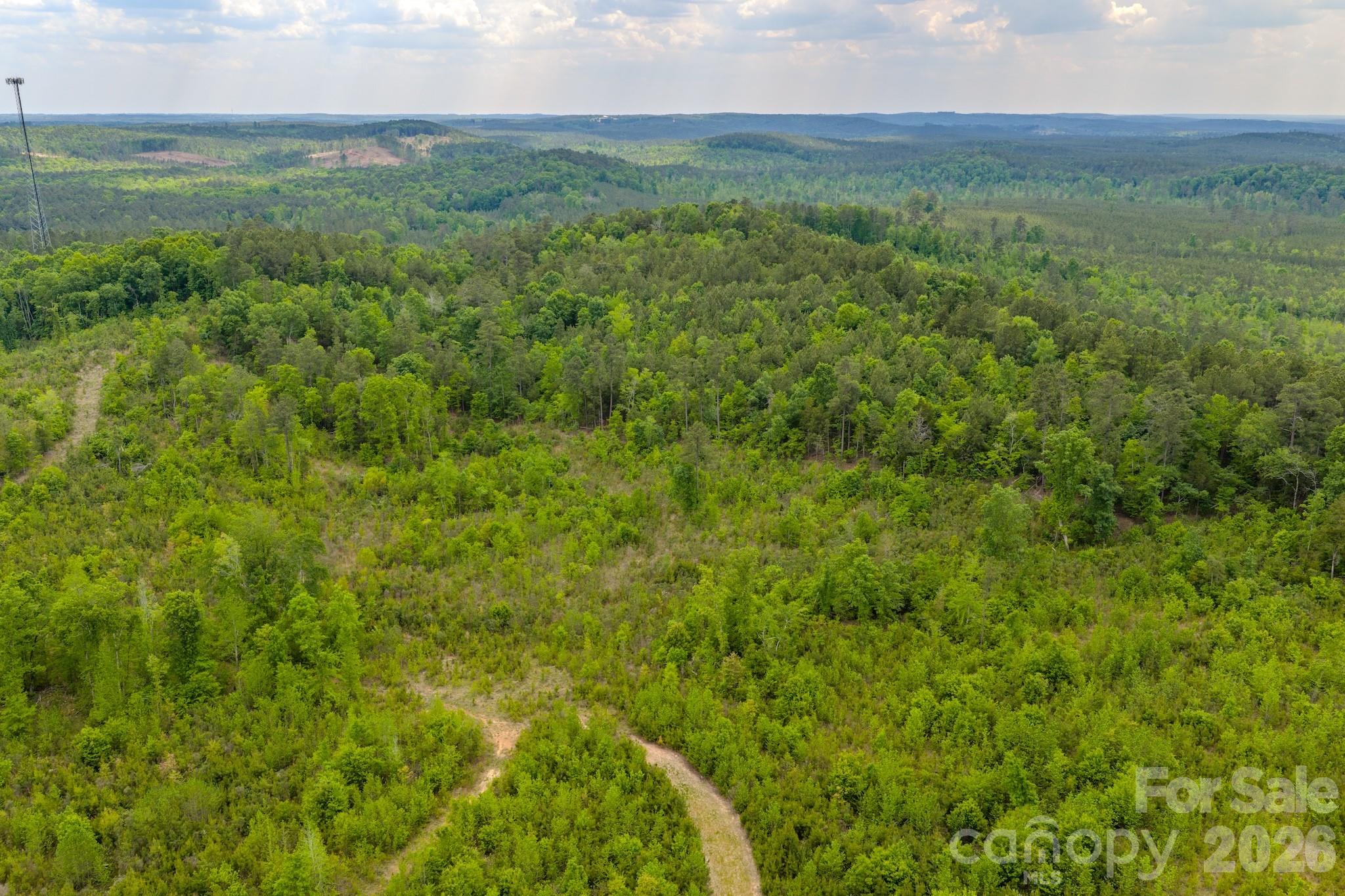 0 Hwy 731 Highway Property Photo 38