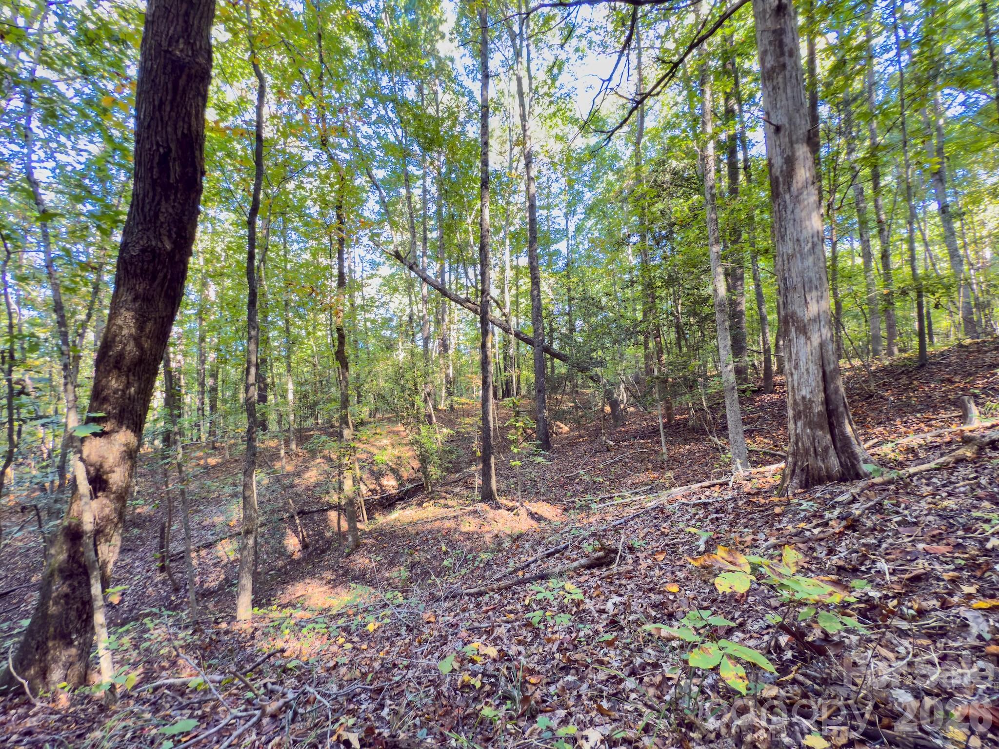 0 Hwy 731 Highway Property Photo 39