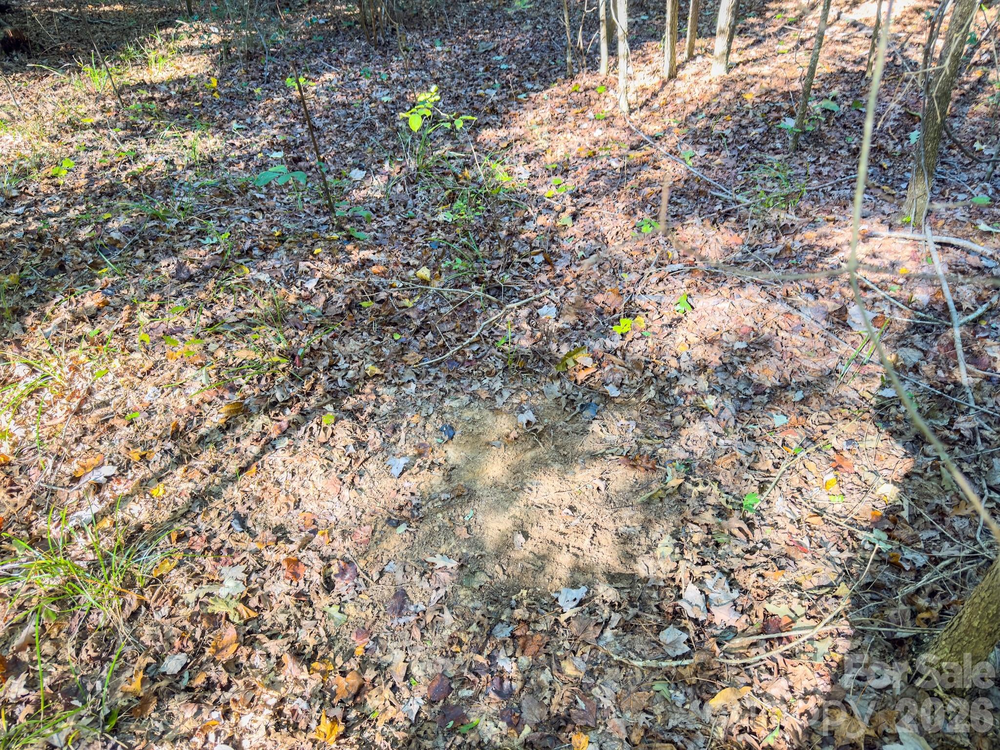 0 Hwy 731 Highway Property Photo 40