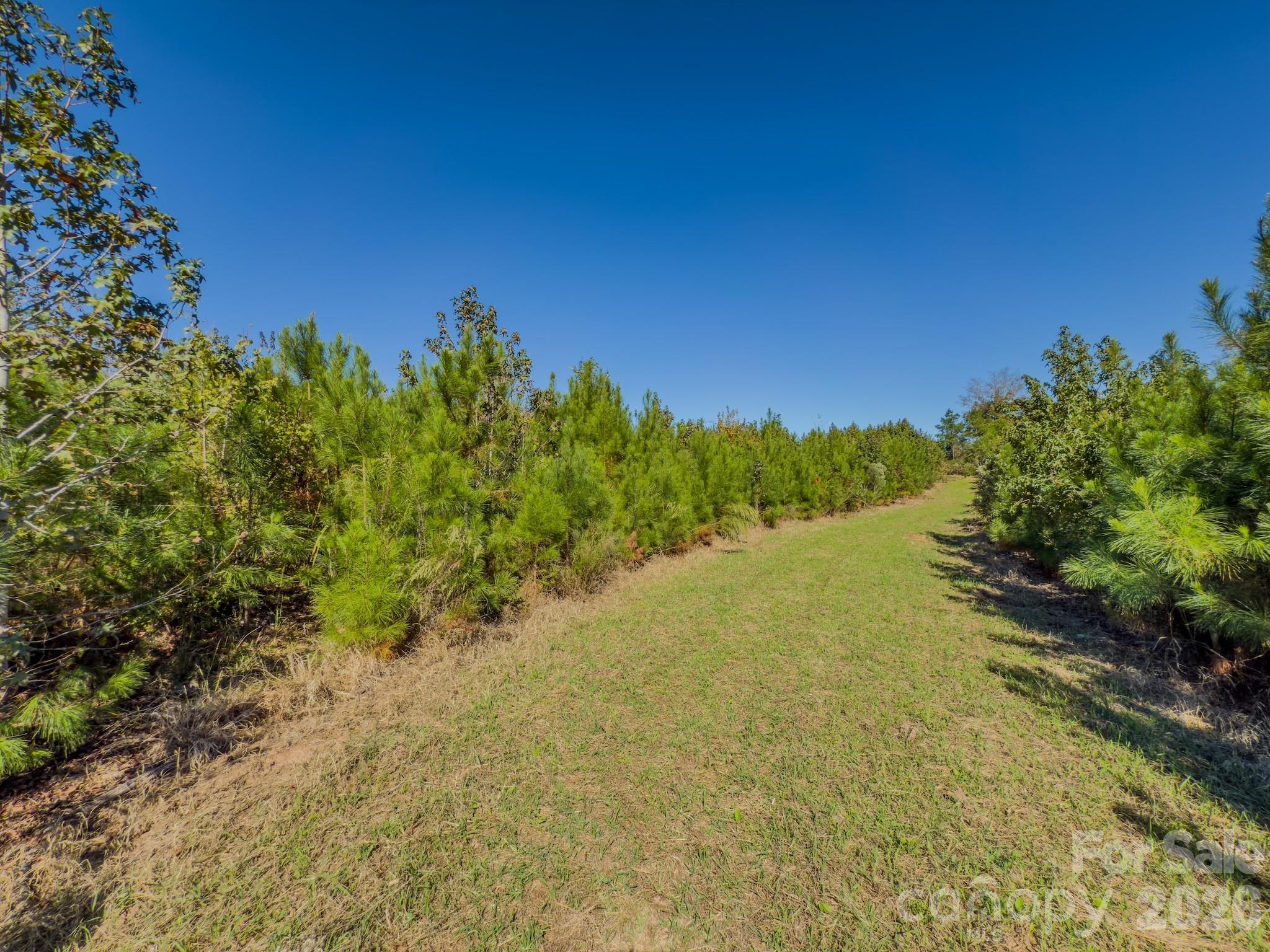 0 Hwy 731 Highway Property Photo 43