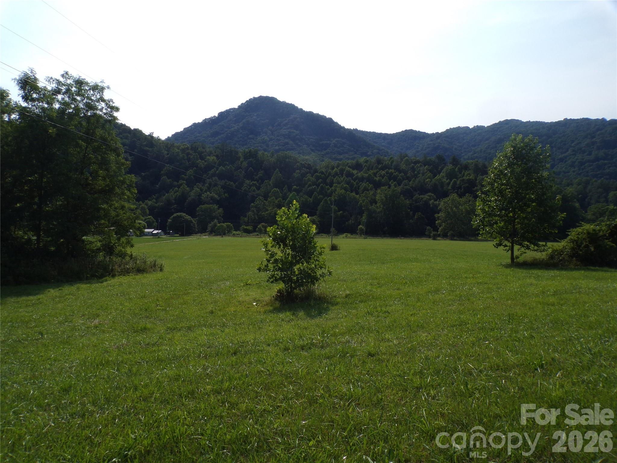 145 Kirks Drive Property Photo 6
