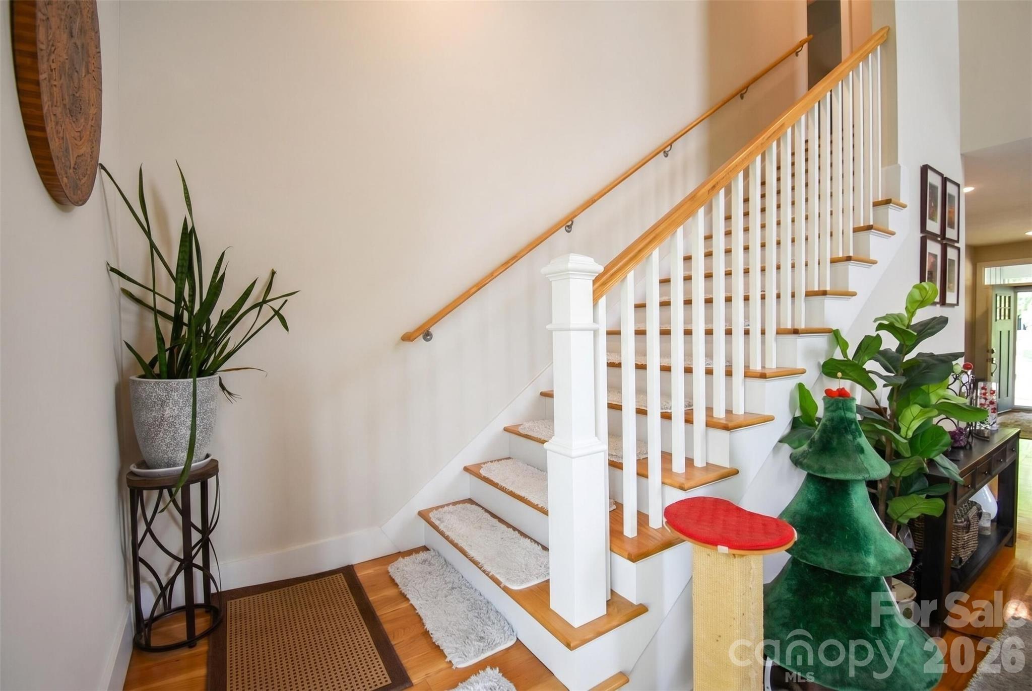 123 White Oak Road Extension Property Photo 27