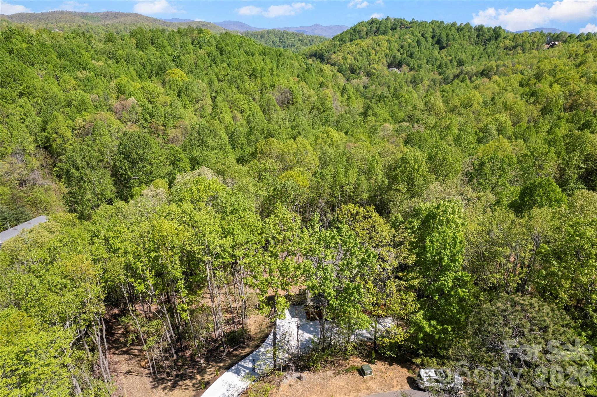 233 Arcadia Falls Way Property Photo 5