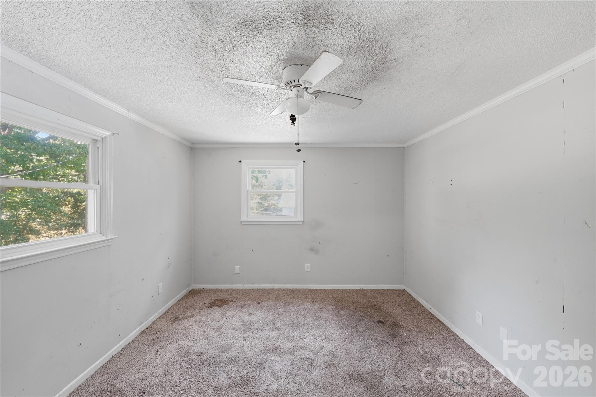 151 Redwood Lane Property Photo 4
