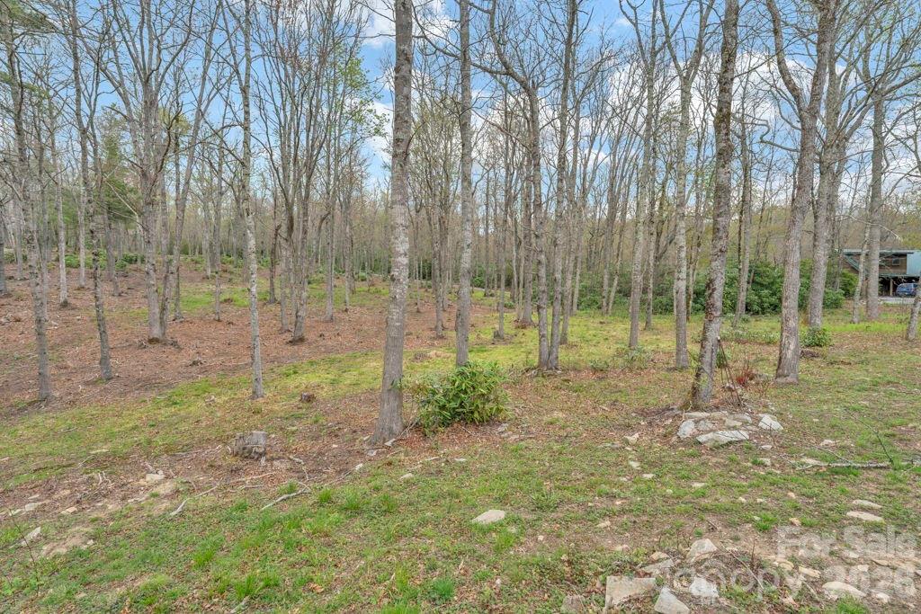 811 Linhigh Drive Property Photo 48