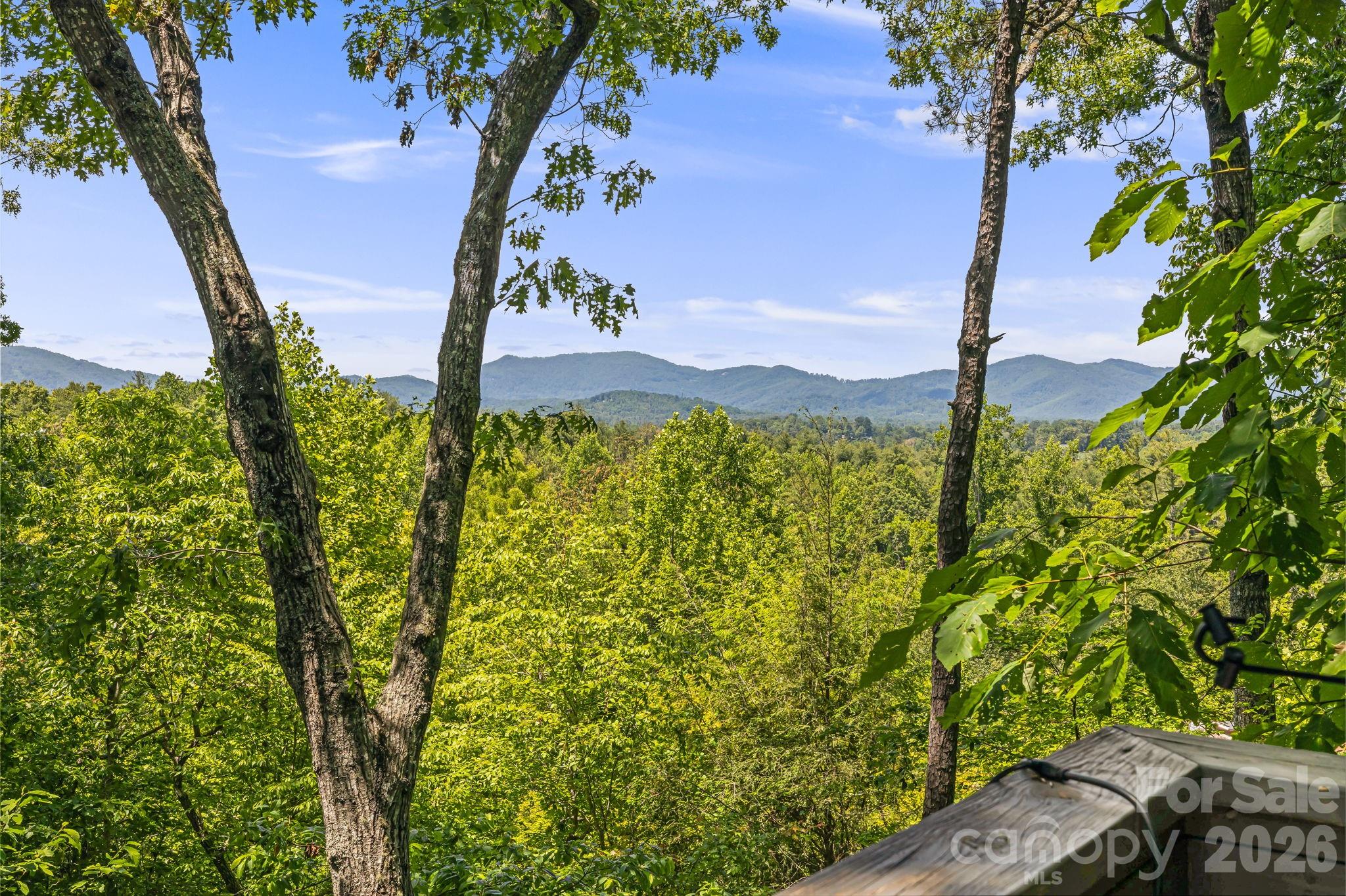 5 Saddle Ridge Property Photo