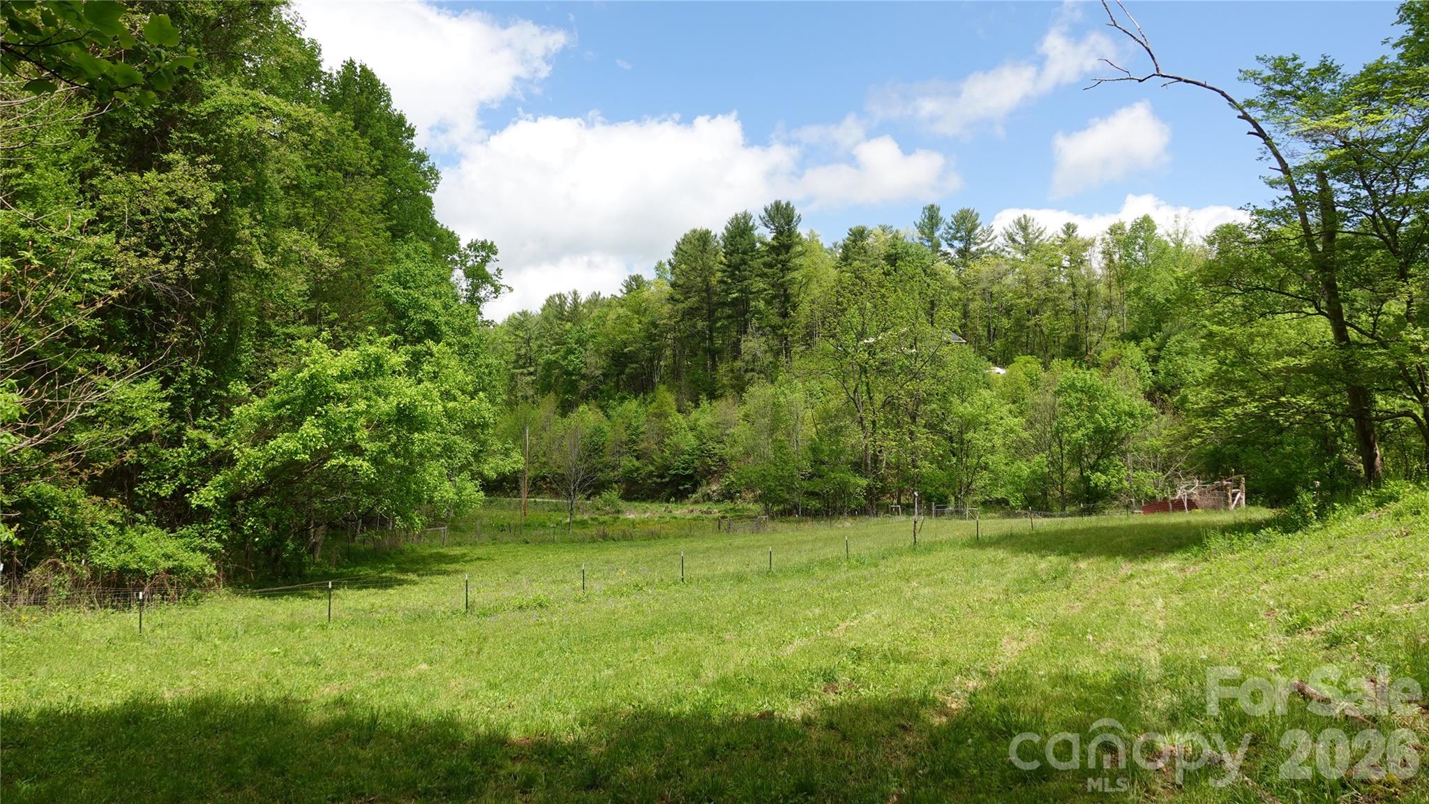 3151 Lumptown Road Property Photo 46