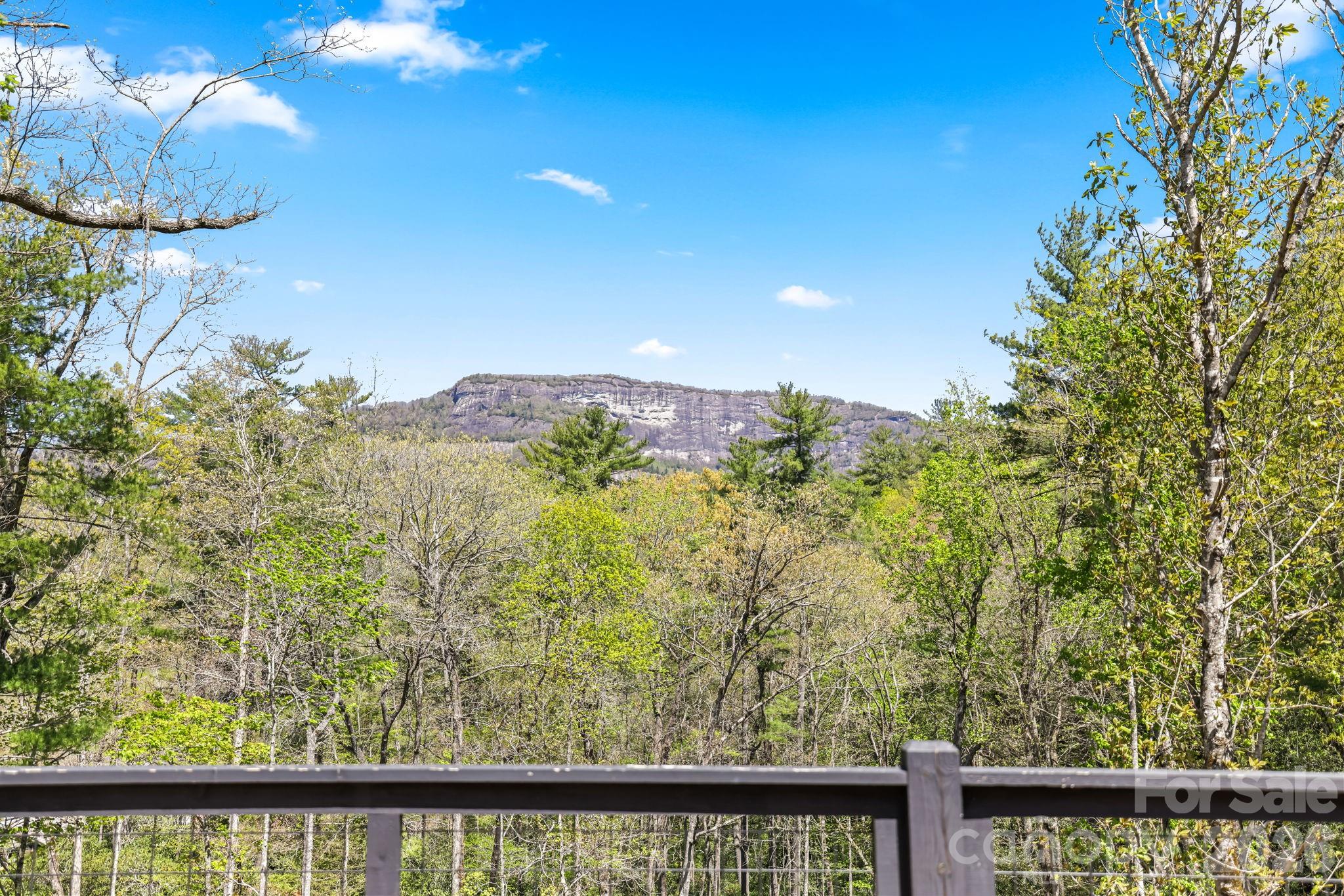 261 Rock Face Trail Lt 10c Property Photo 29