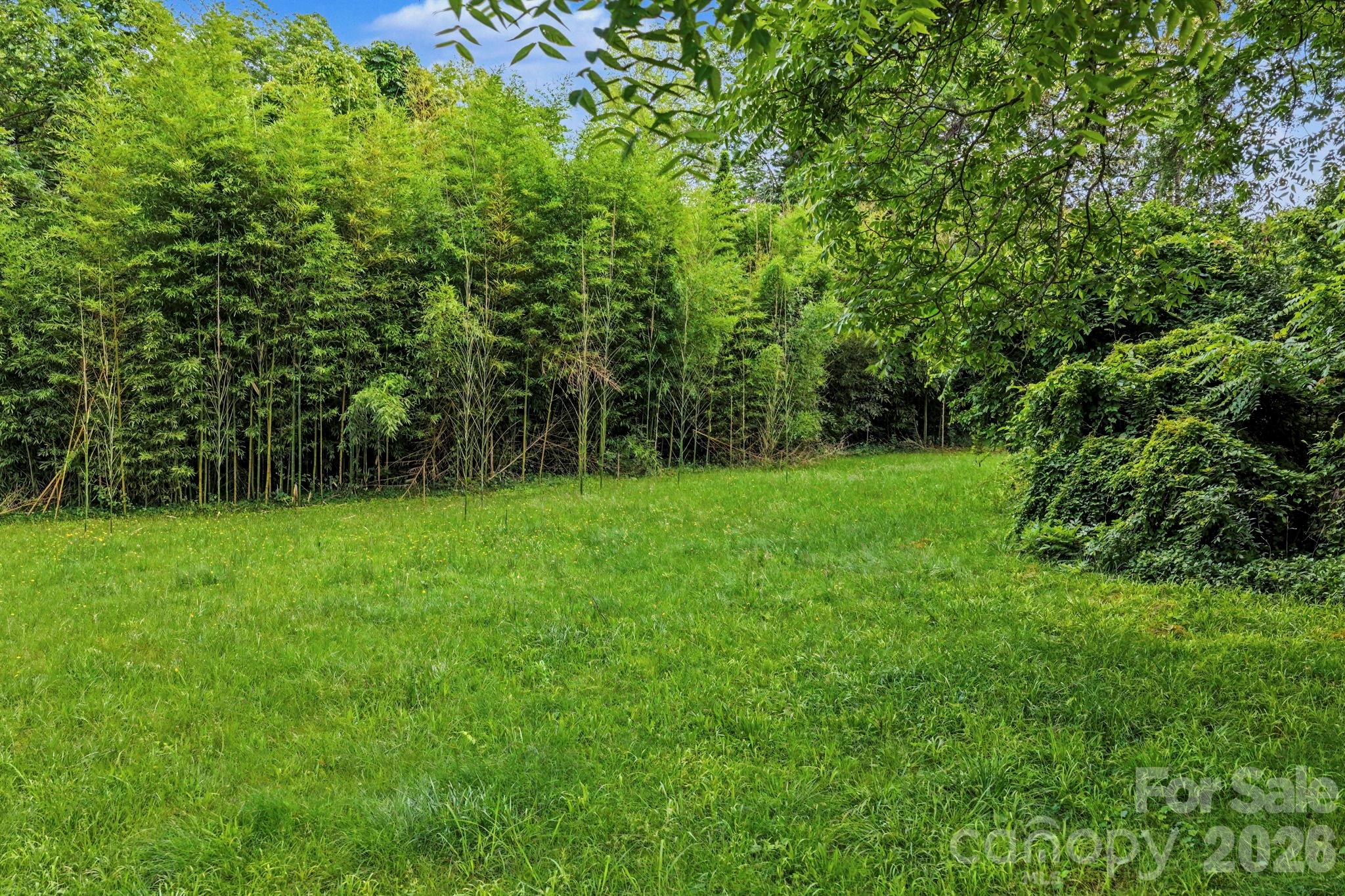 305 N White Street Property Photo 45