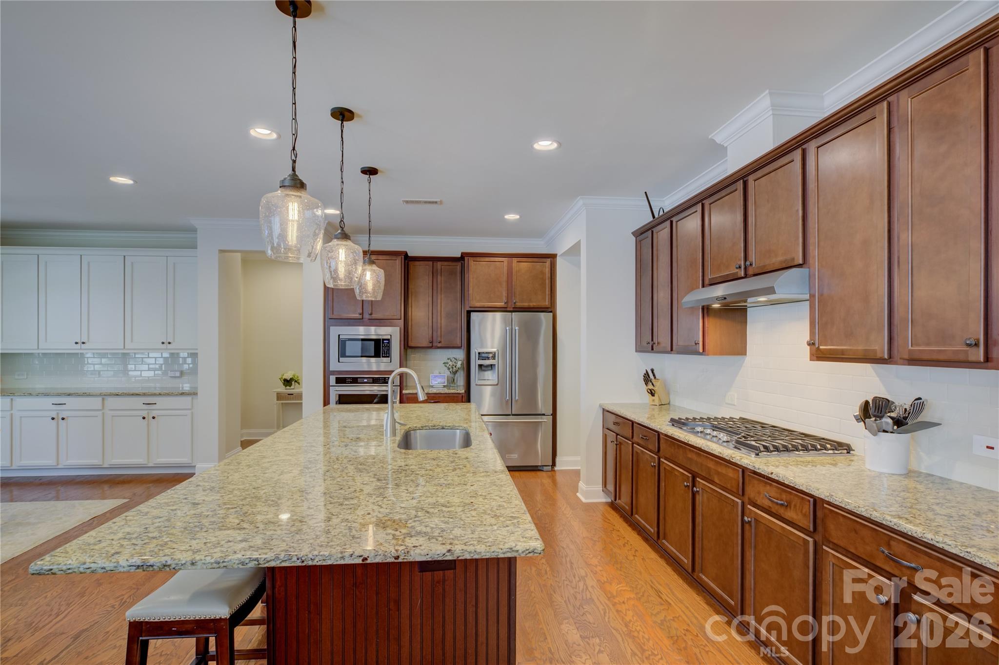 15420 Cimarron Hills Lane Property Photo 12