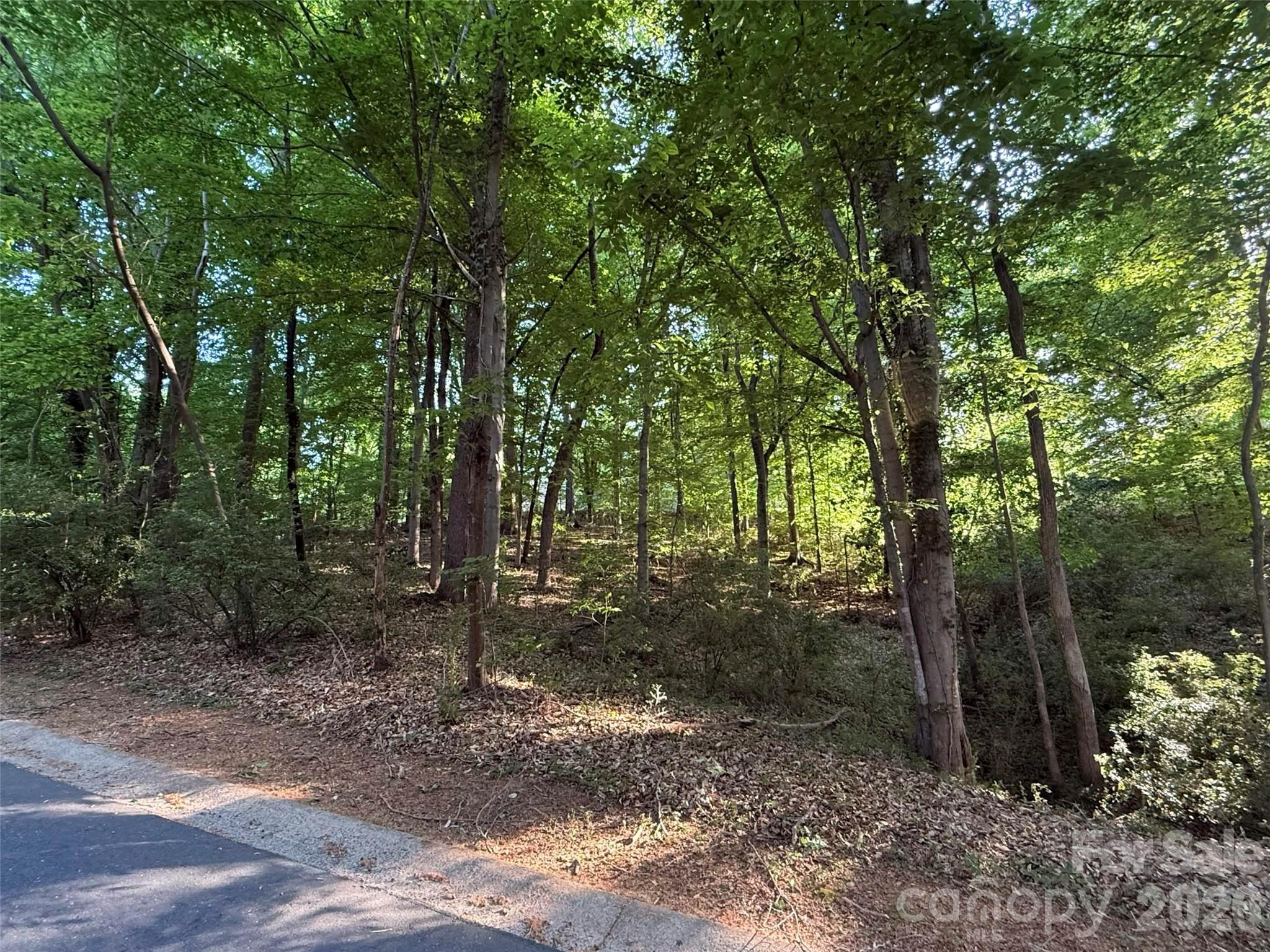 300 Maymont Drive Property Photo 3