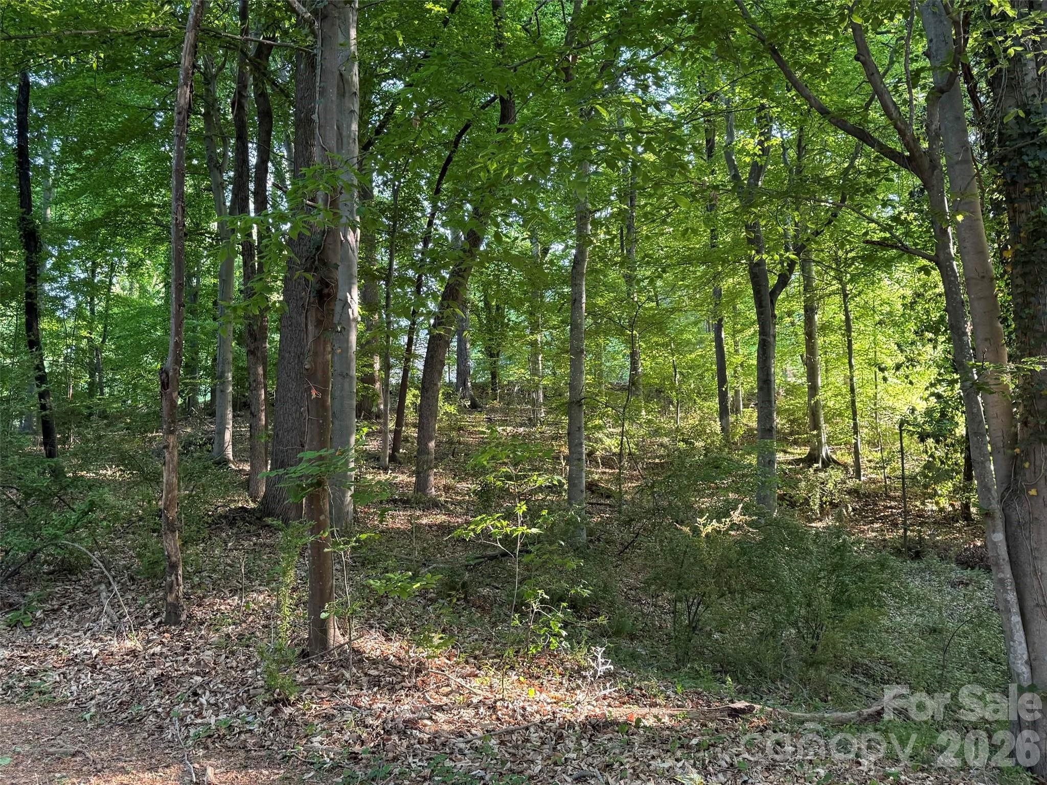 300 Maymont Drive Property Photo 4