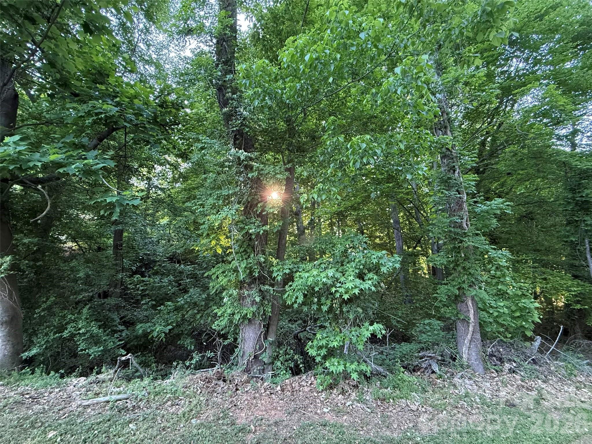 300 Maymont Drive Property Photo 5
