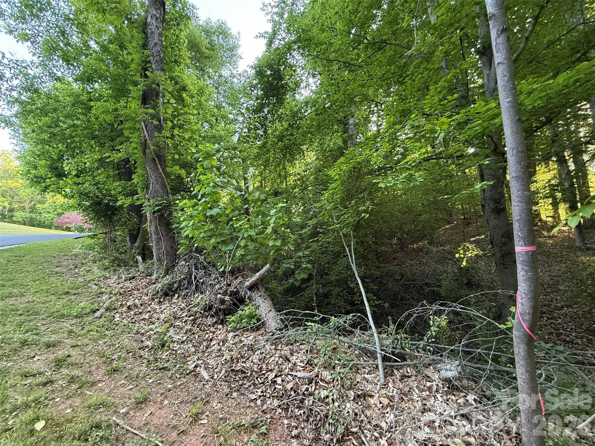 300 Maymont Drive Property Photo 6