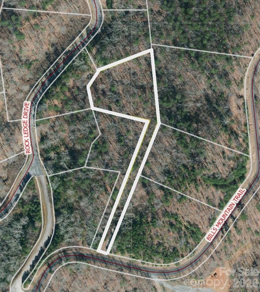 Lot 272 Bills Mountain Trail 272 Property Photo 3