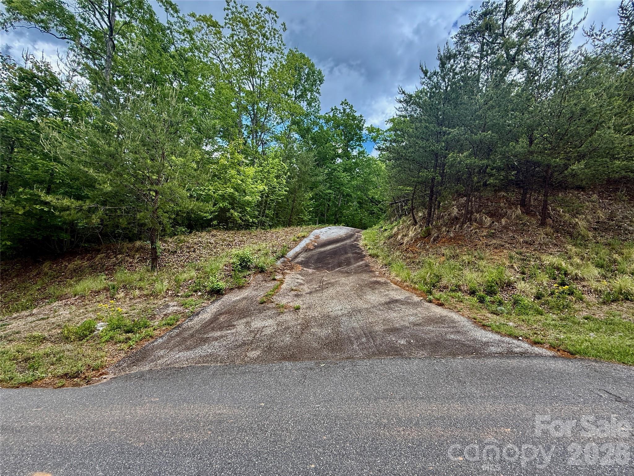 Lot 272 Bills Mountain Trail 272 Property Photo 4