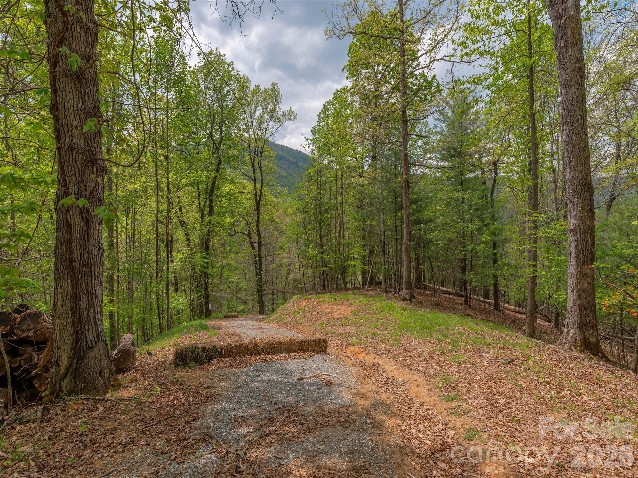 000 Caney Fork Road Property Photo 3