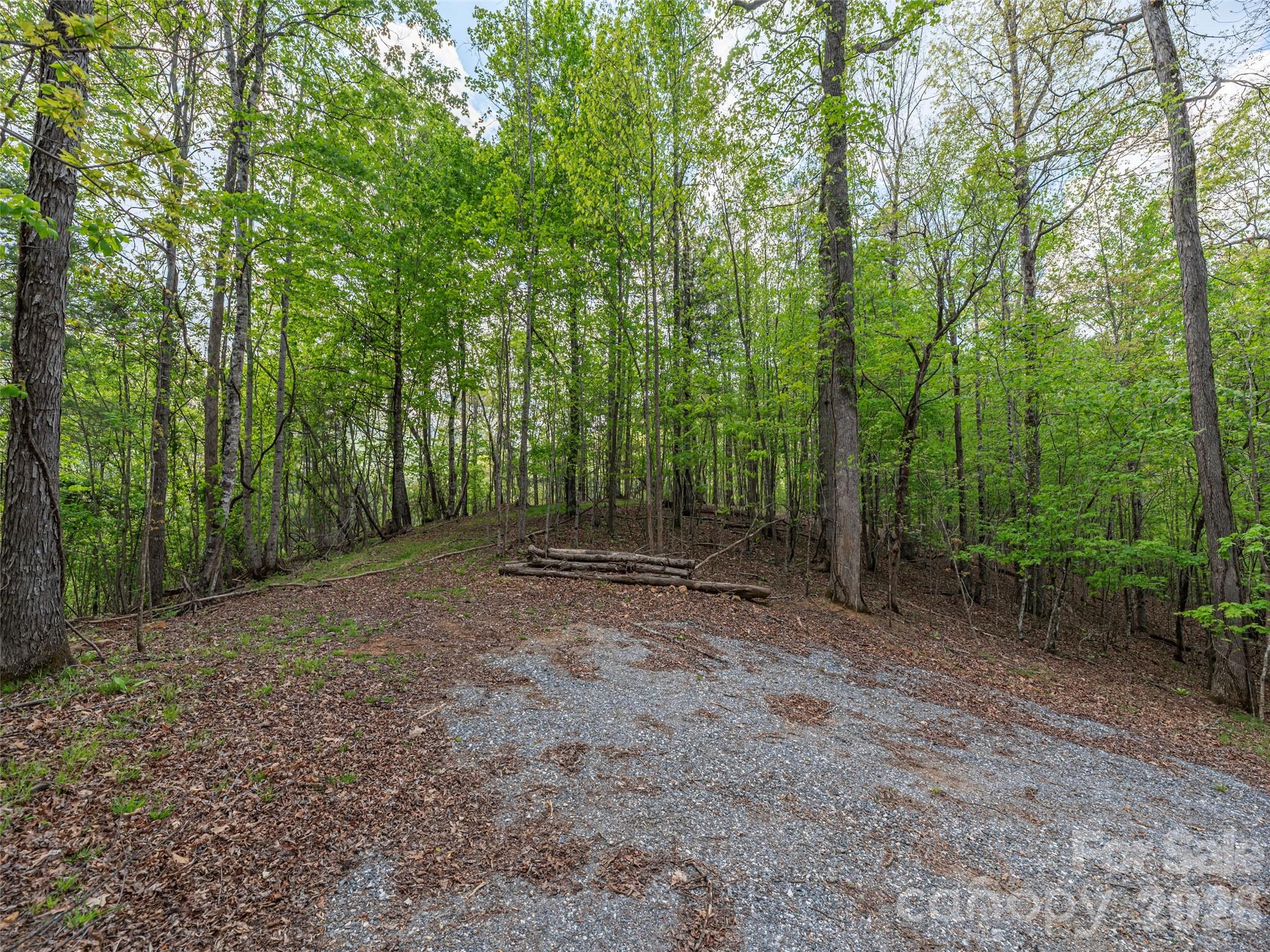 000 Caney Fork Road Property Photo 4