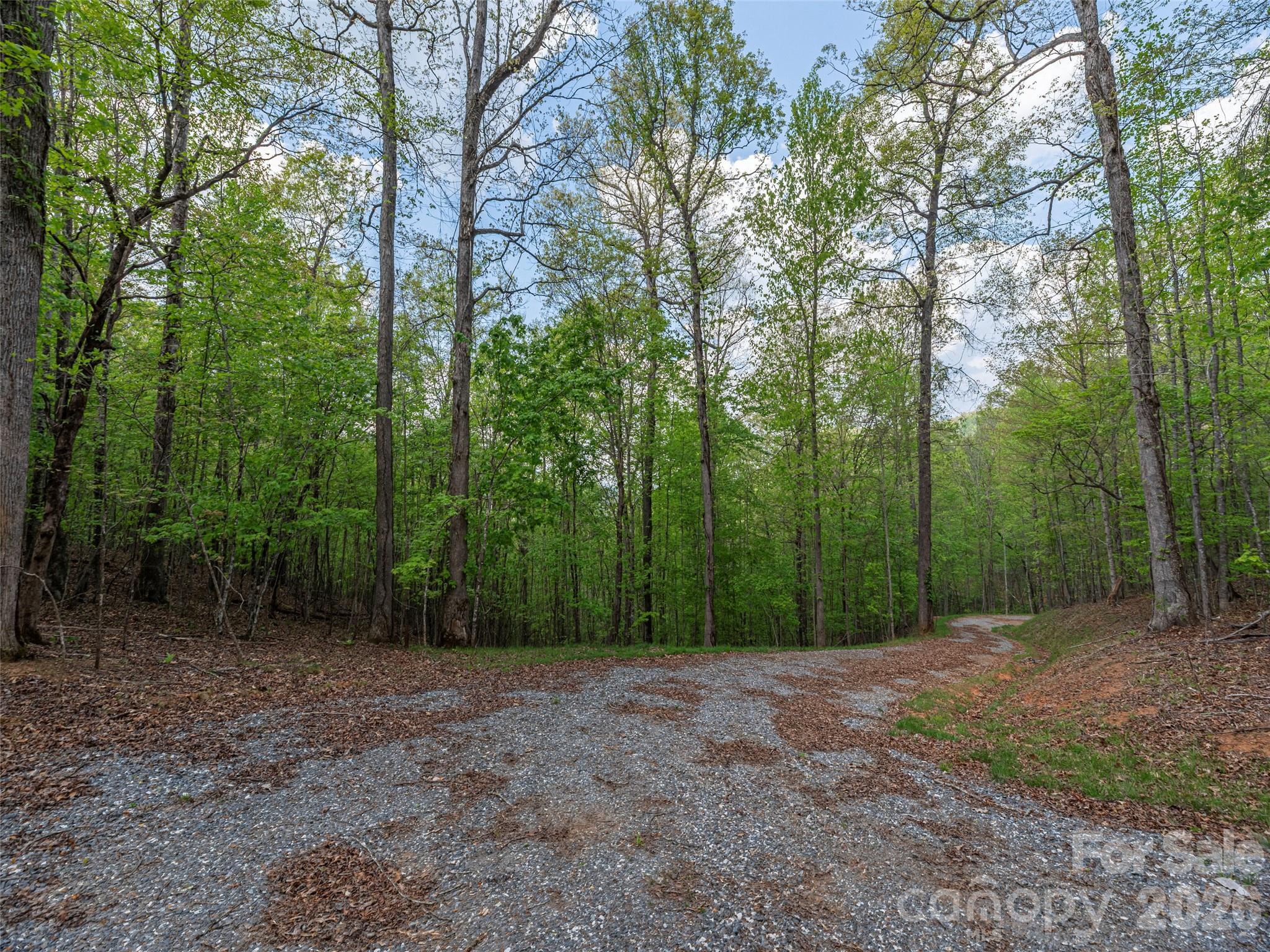 000 Caney Fork Road Property Photo 5