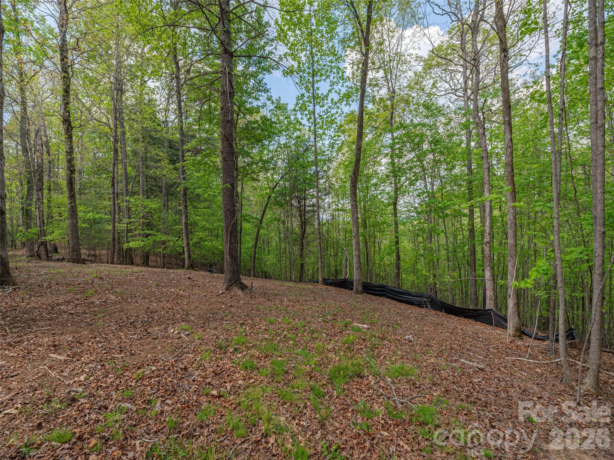 000 Caney Fork Road Property Photo 7