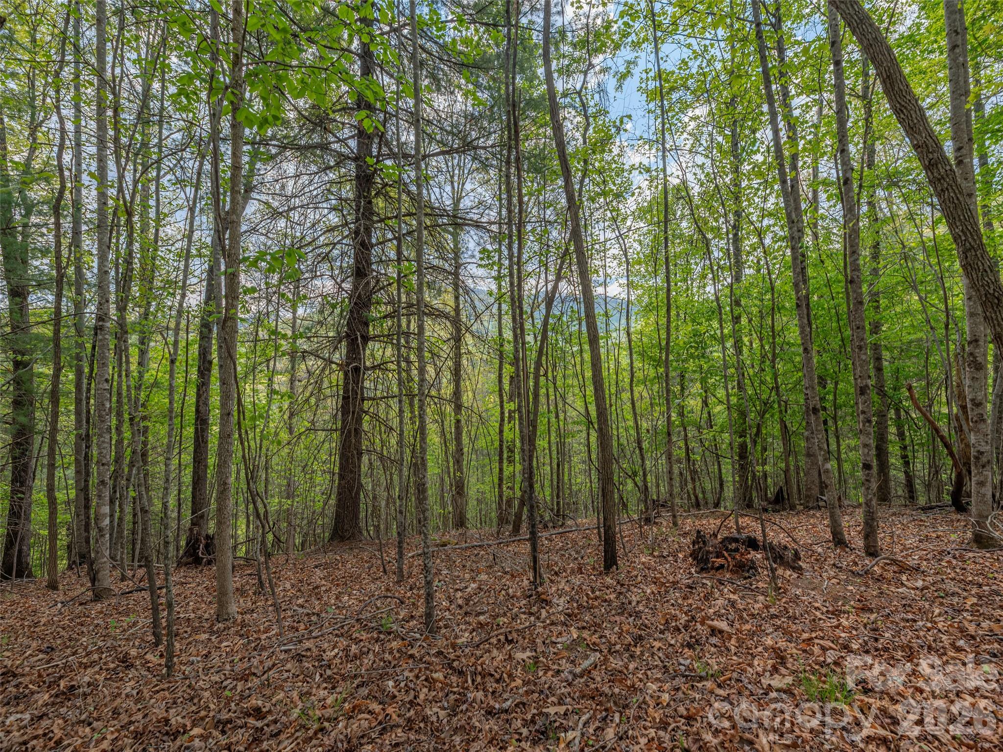 000 Caney Fork Road Property Photo 8