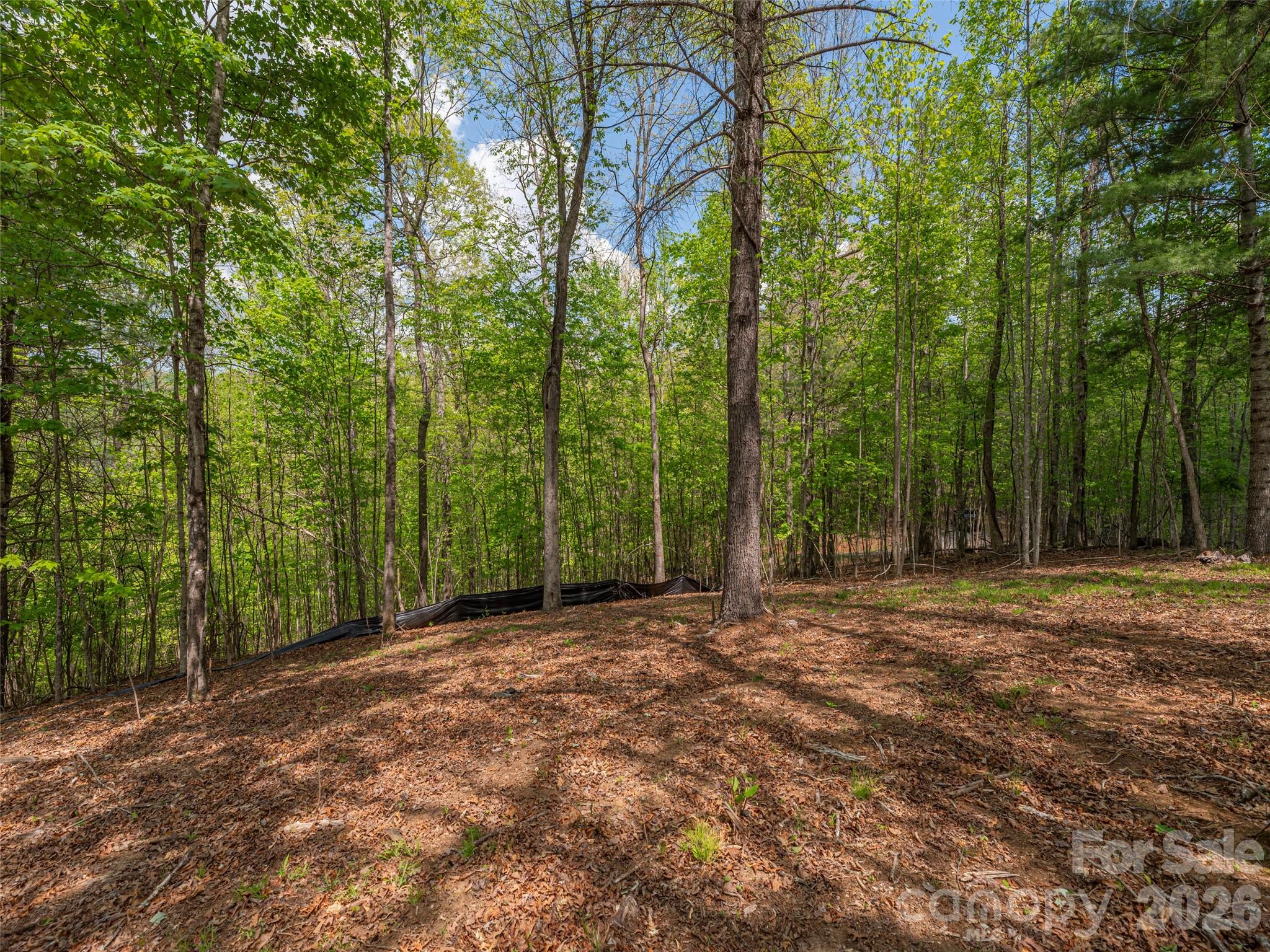 000 Caney Fork Road Property Photo 9