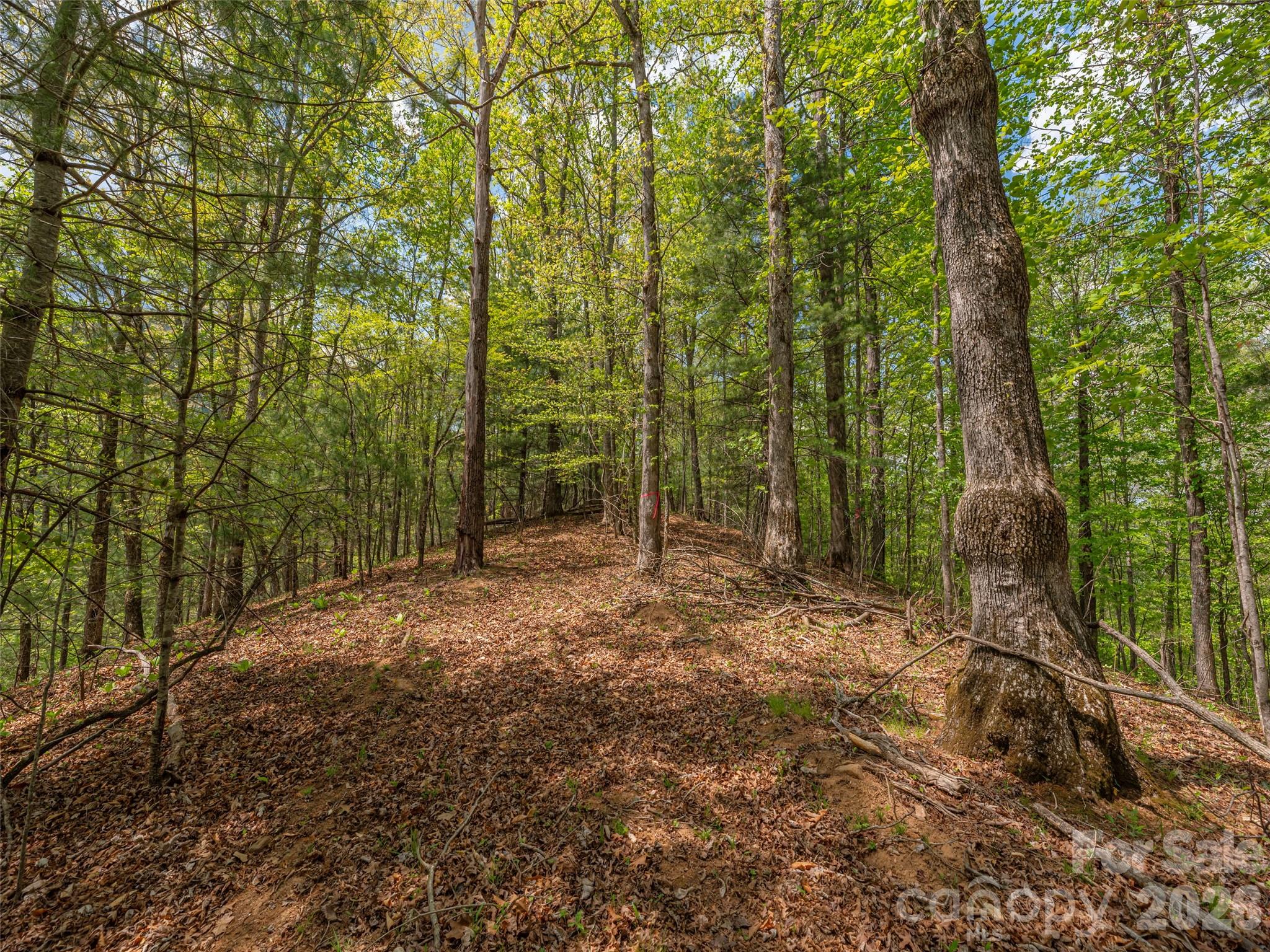 000 Caney Fork Road Property Photo 10