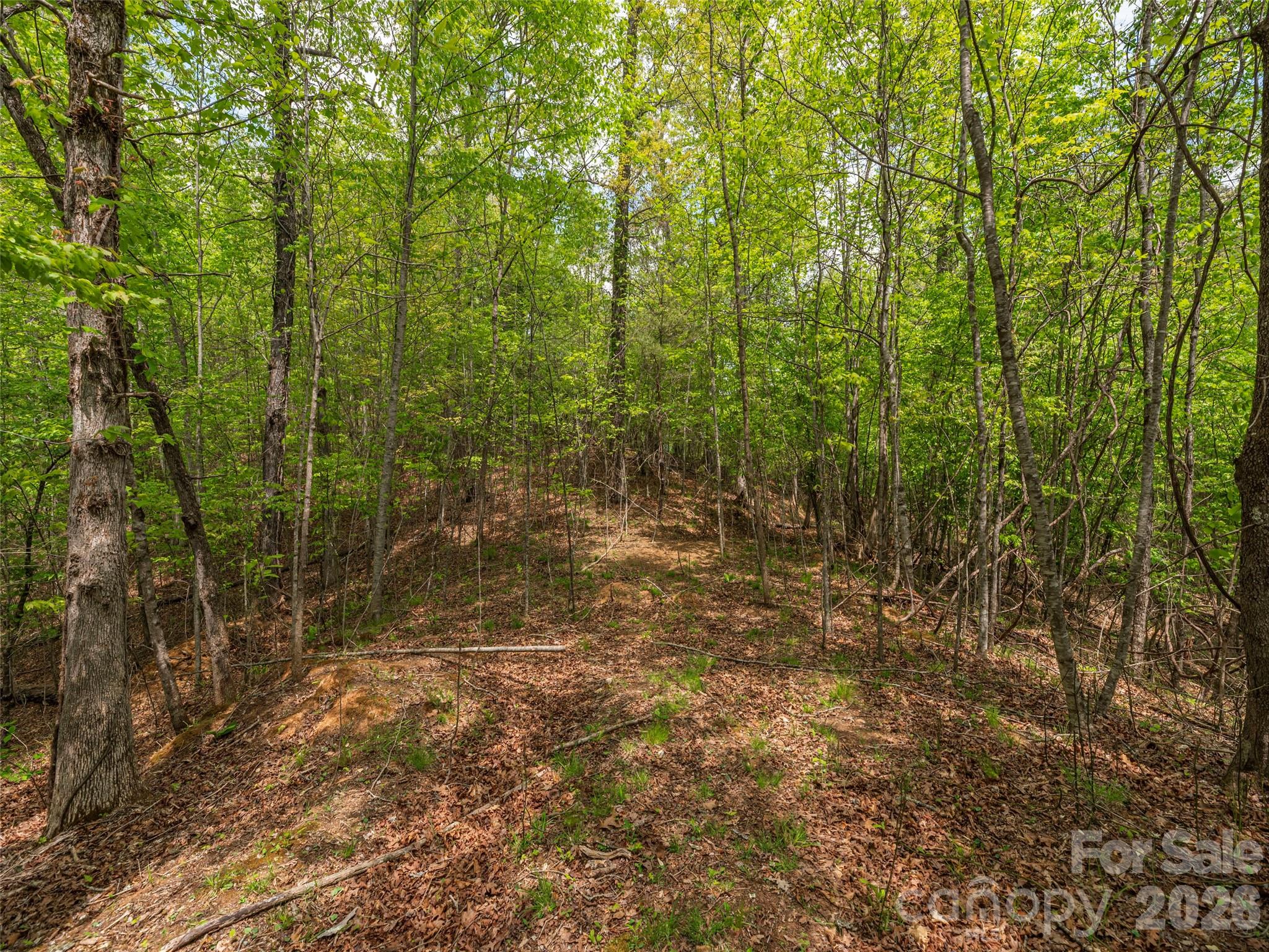 000 Caney Fork Road Property Photo 11