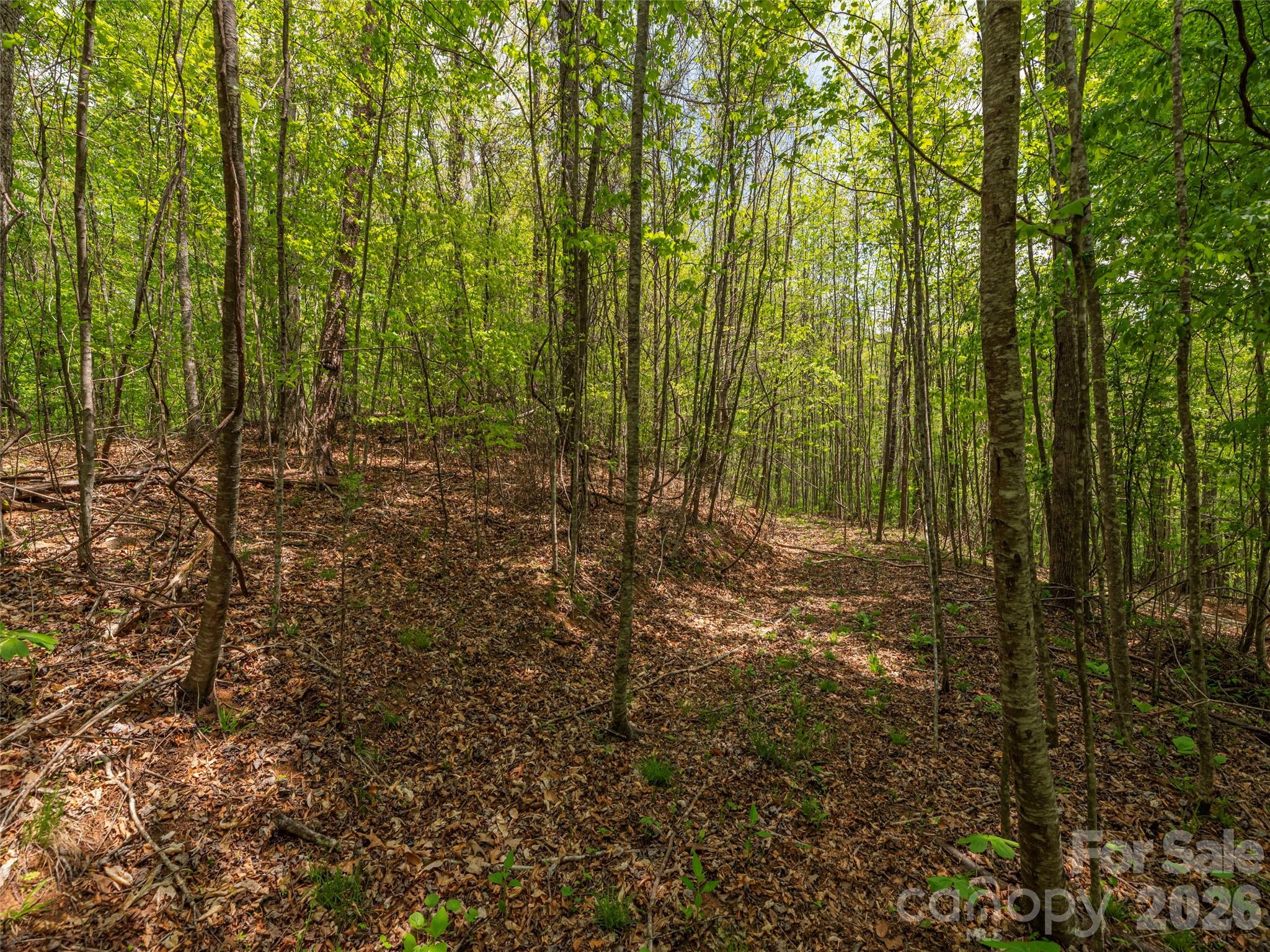 000 Caney Fork Road Property Photo 12