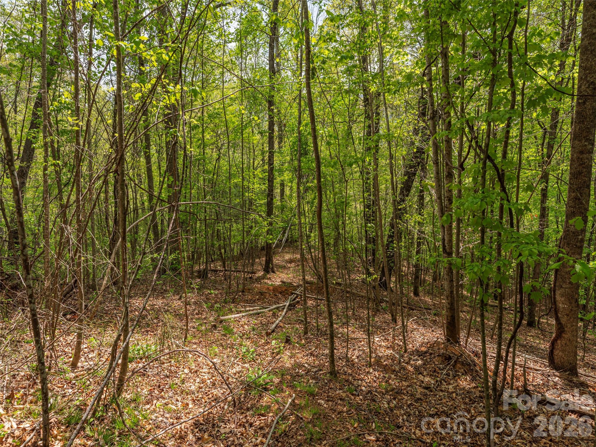 000 Caney Fork Road Property Photo 13