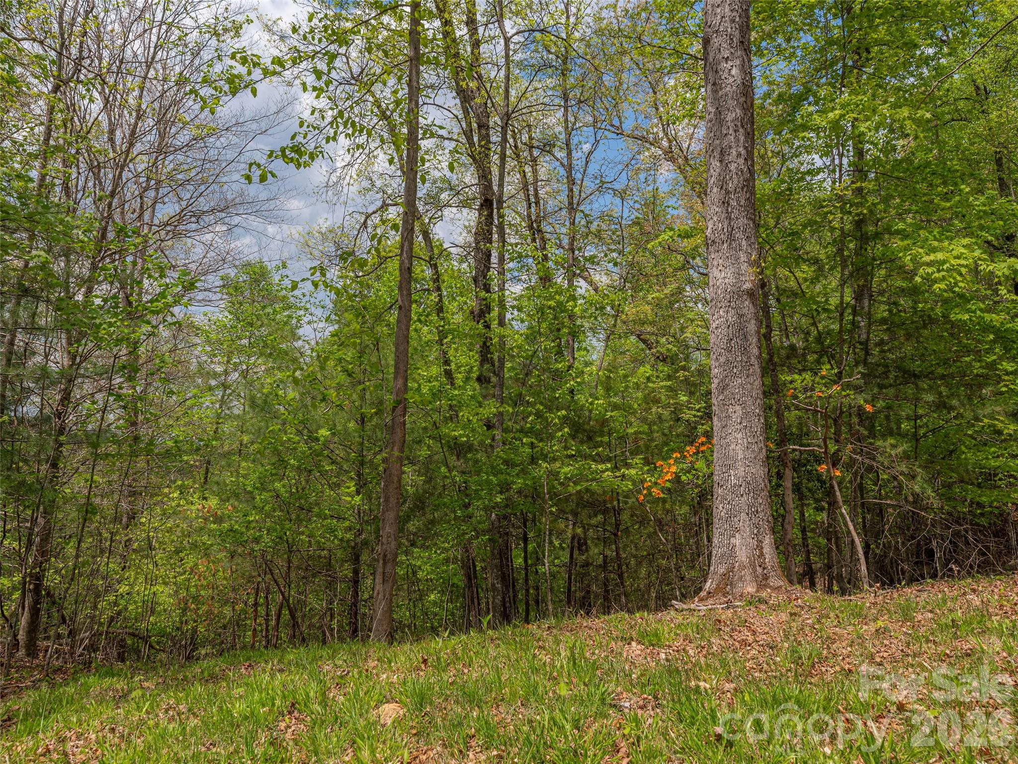 000 Caney Fork Road Property Photo 14