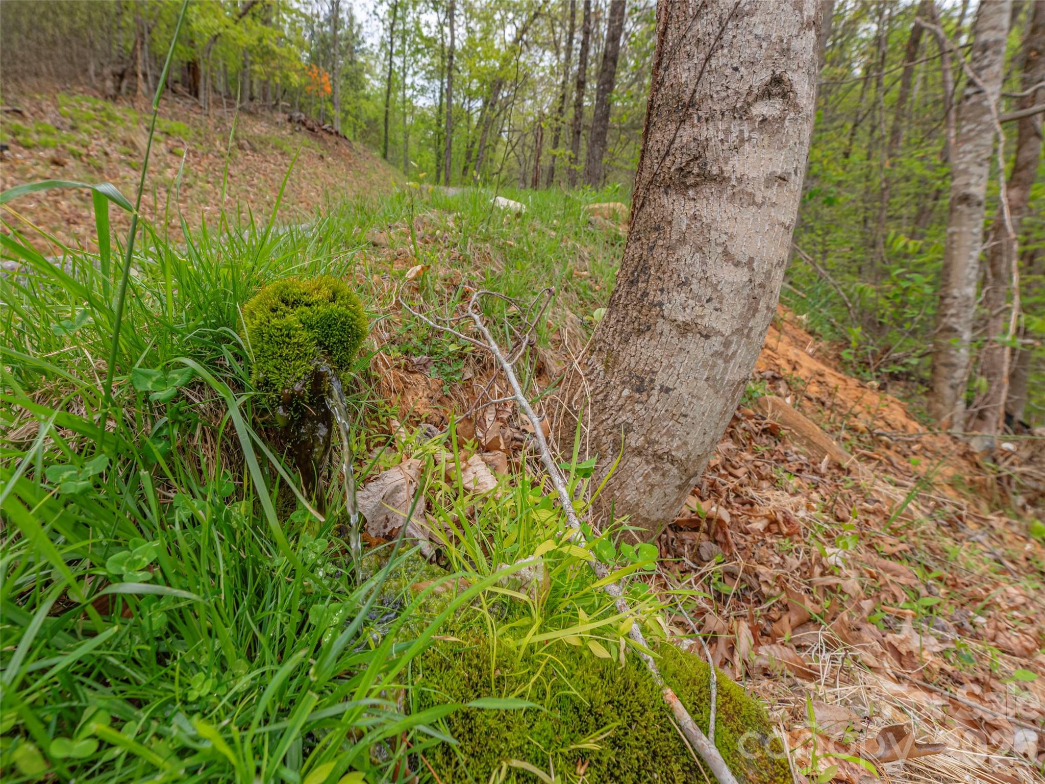 000 Caney Fork Road Property Photo 15